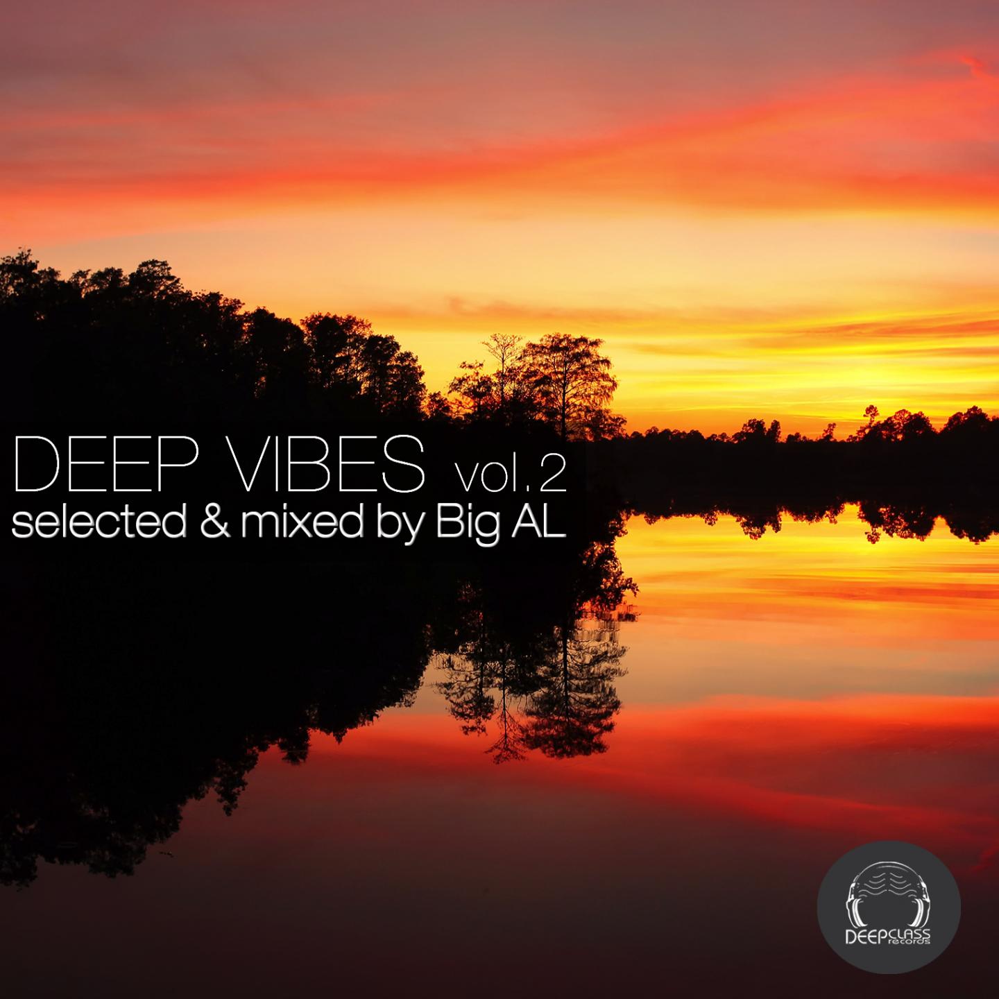 Постер альбома Deep Vibes, Vol. 2