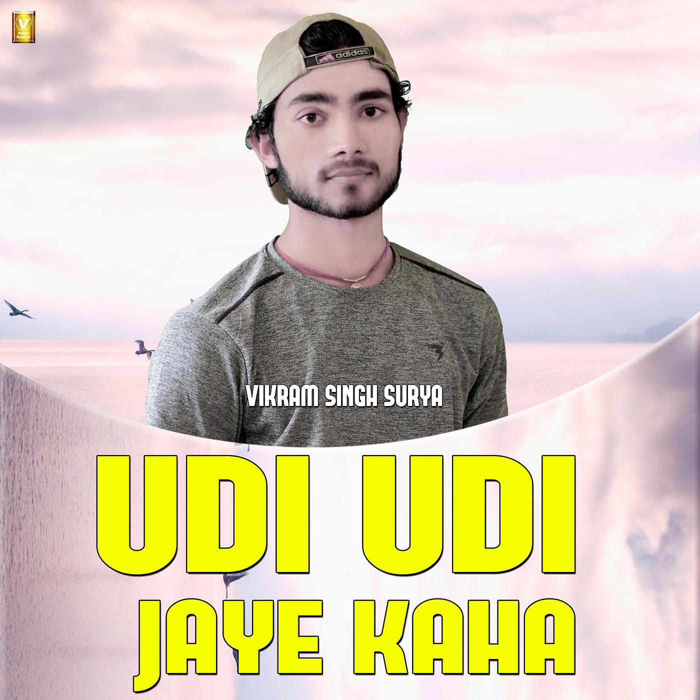 Постер альбома Udi Udi Jaye Kaha