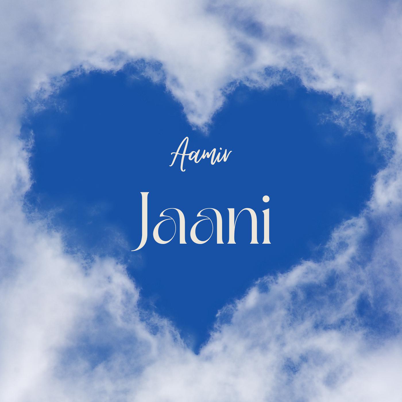 Постер альбома Jaani