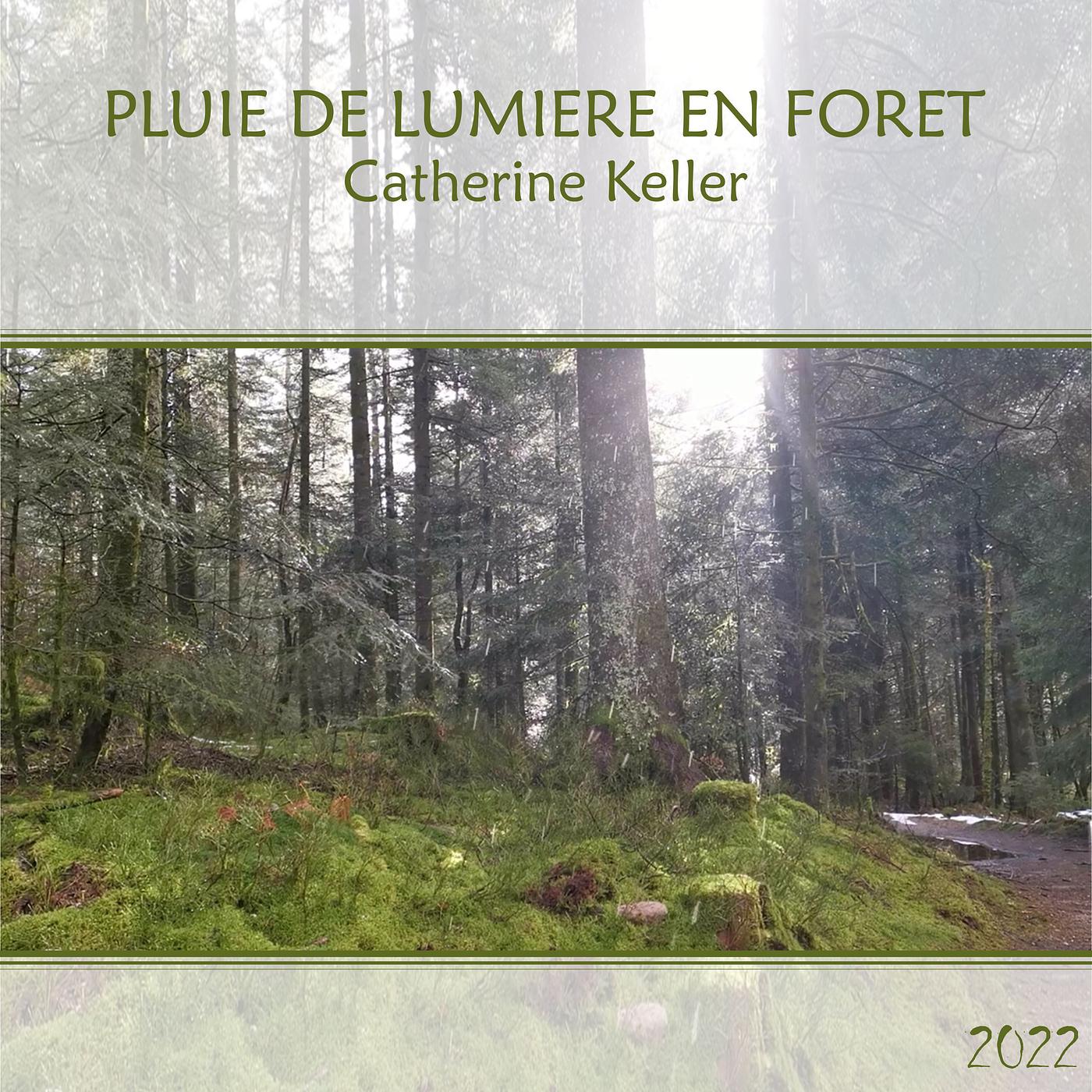 Постер альбома Pluie De Lumière En Forêt (2022)