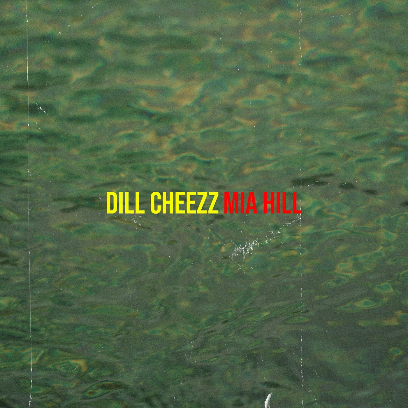 Постер альбома Dill Cheezz
