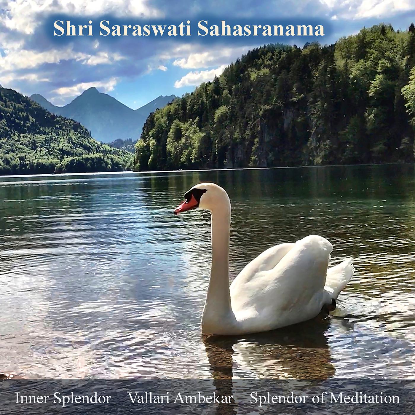 Постер альбома Shri Saraswati Sahasranama