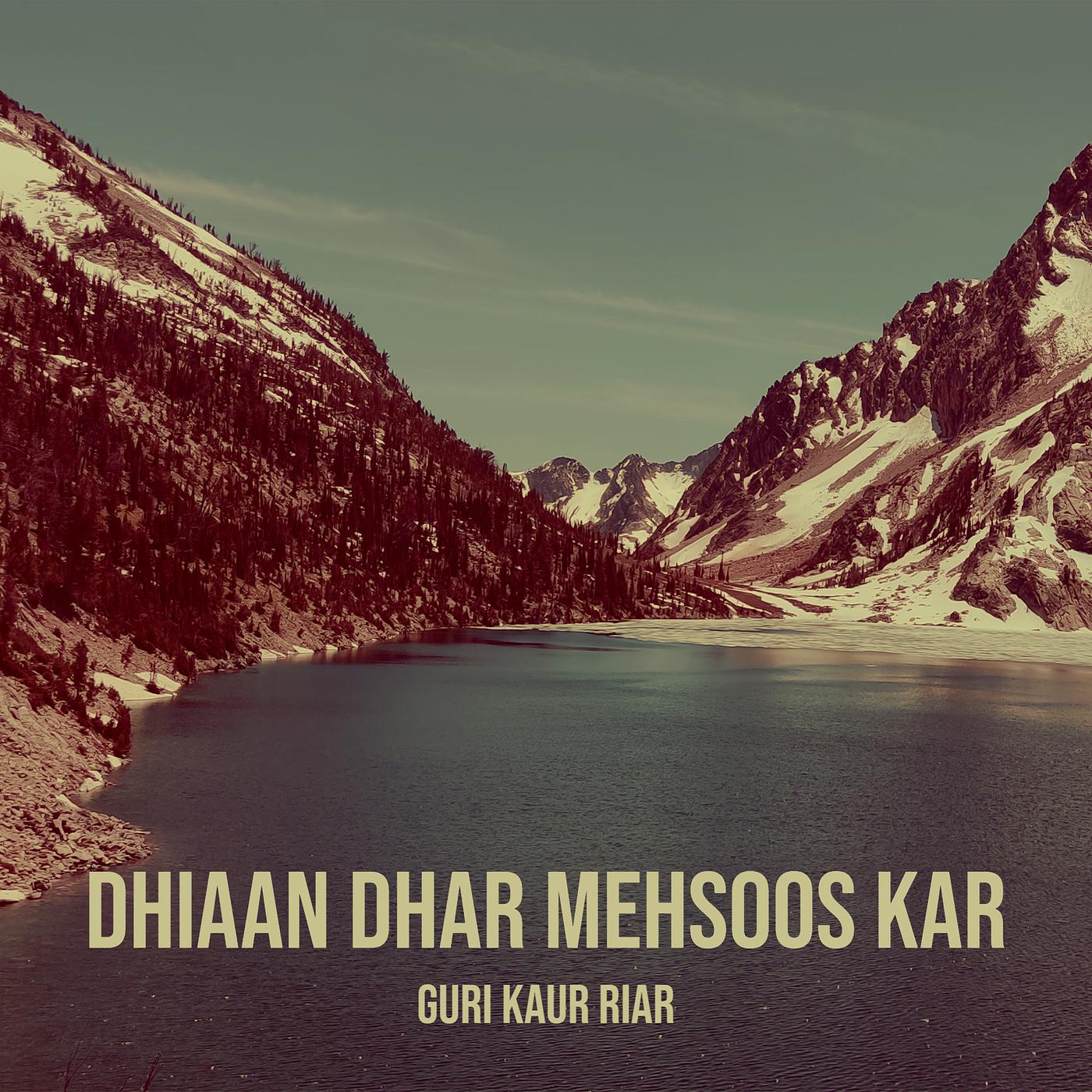 Постер альбома Dhiaan Dhar Mehsoos Kar