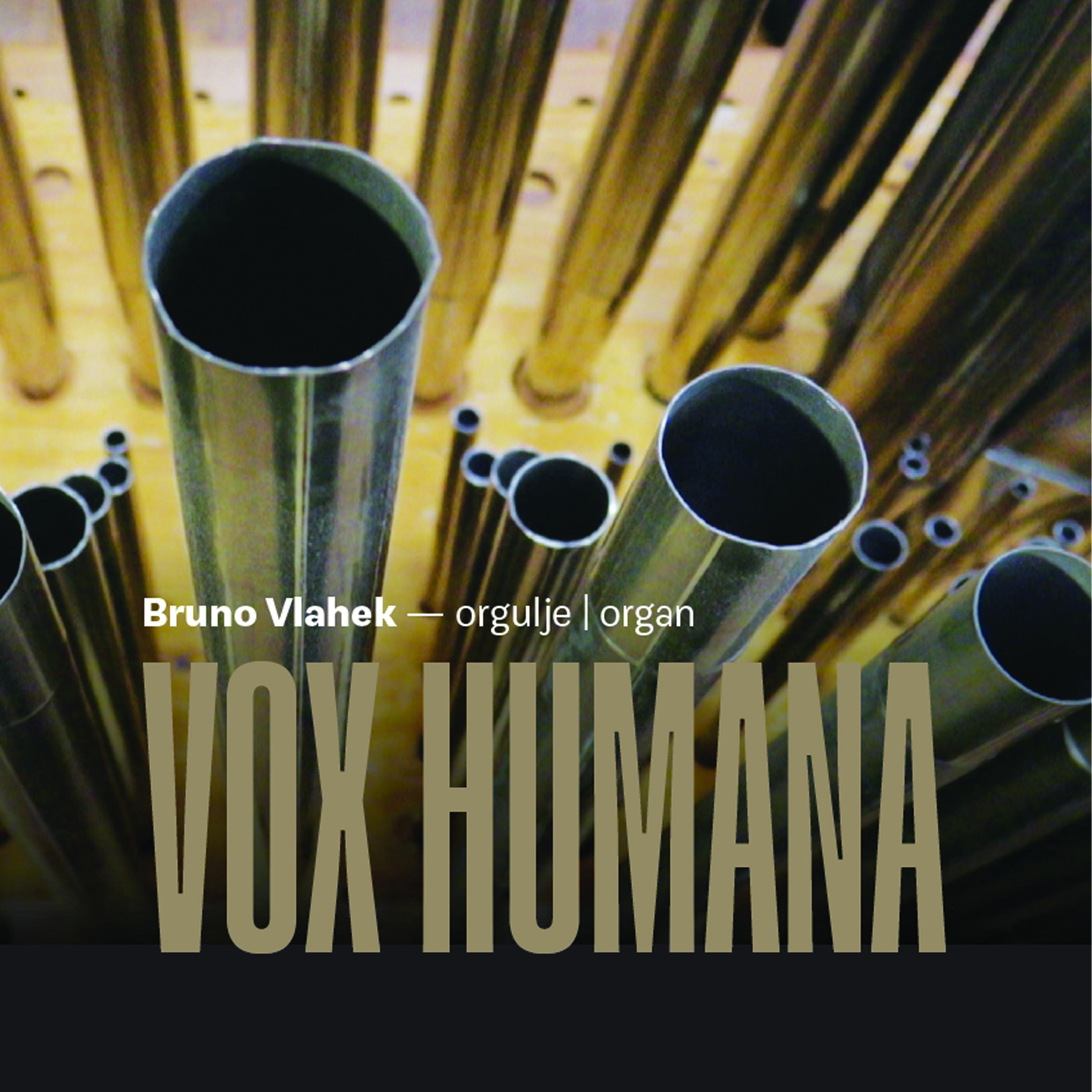 Постер альбома Vox Humana