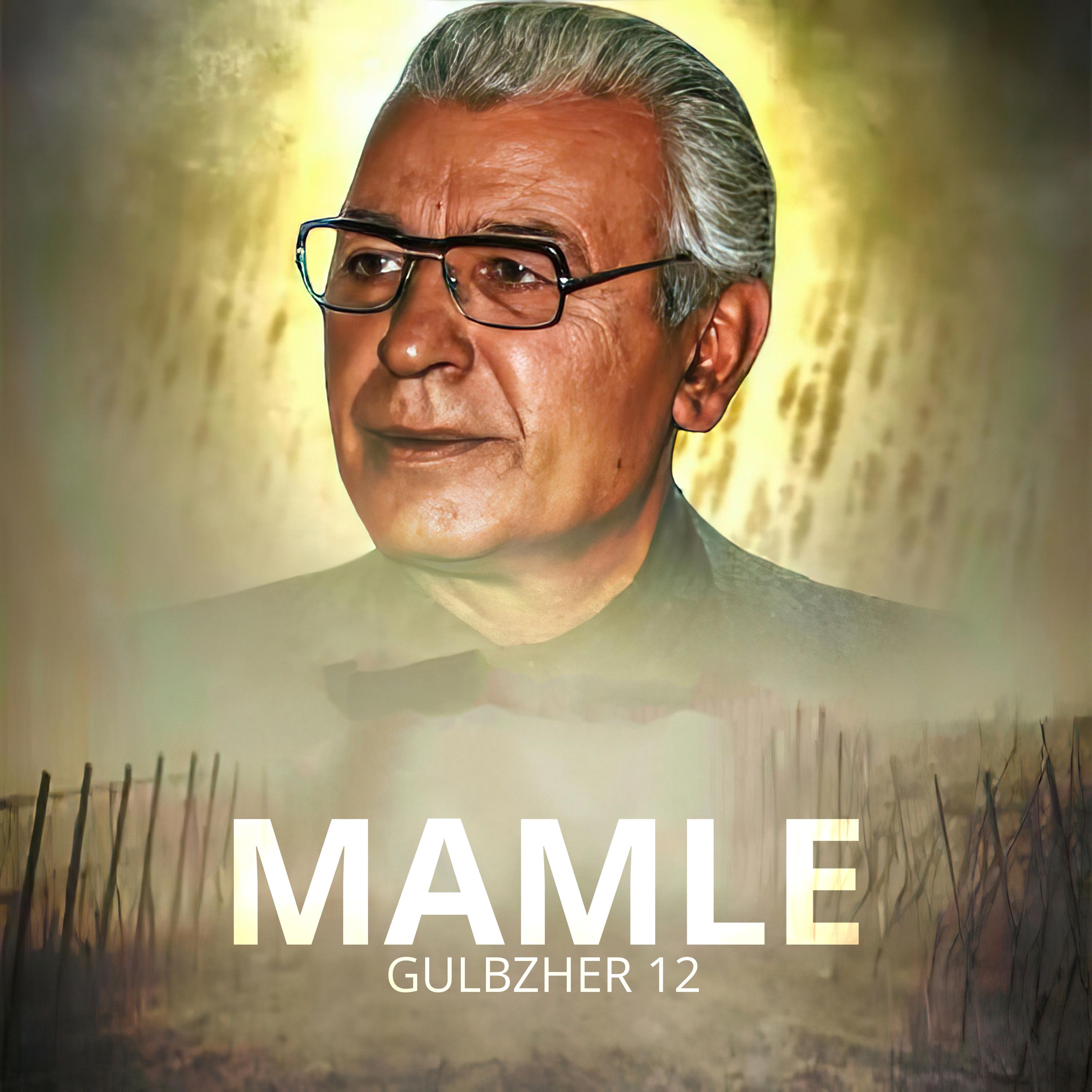Постер альбома Gulbzher 12