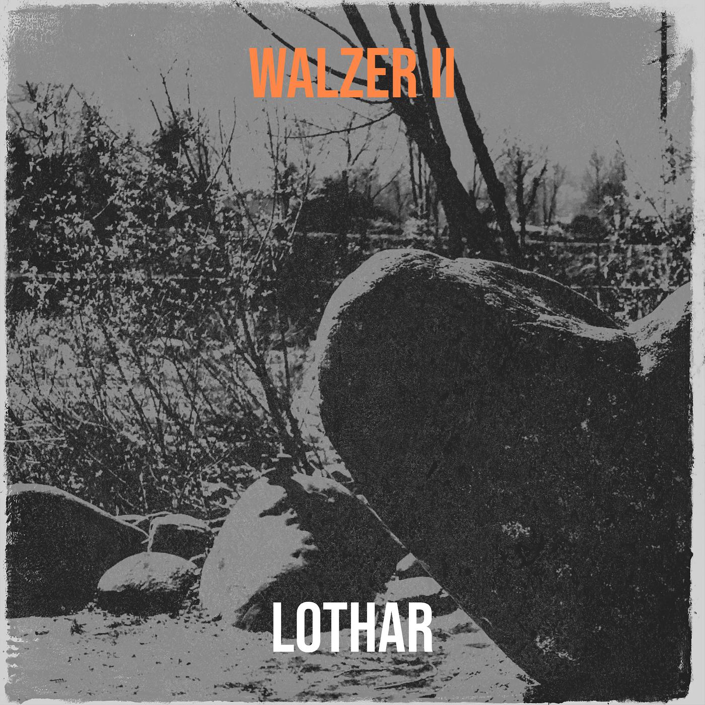 Постер альбома Walzer II