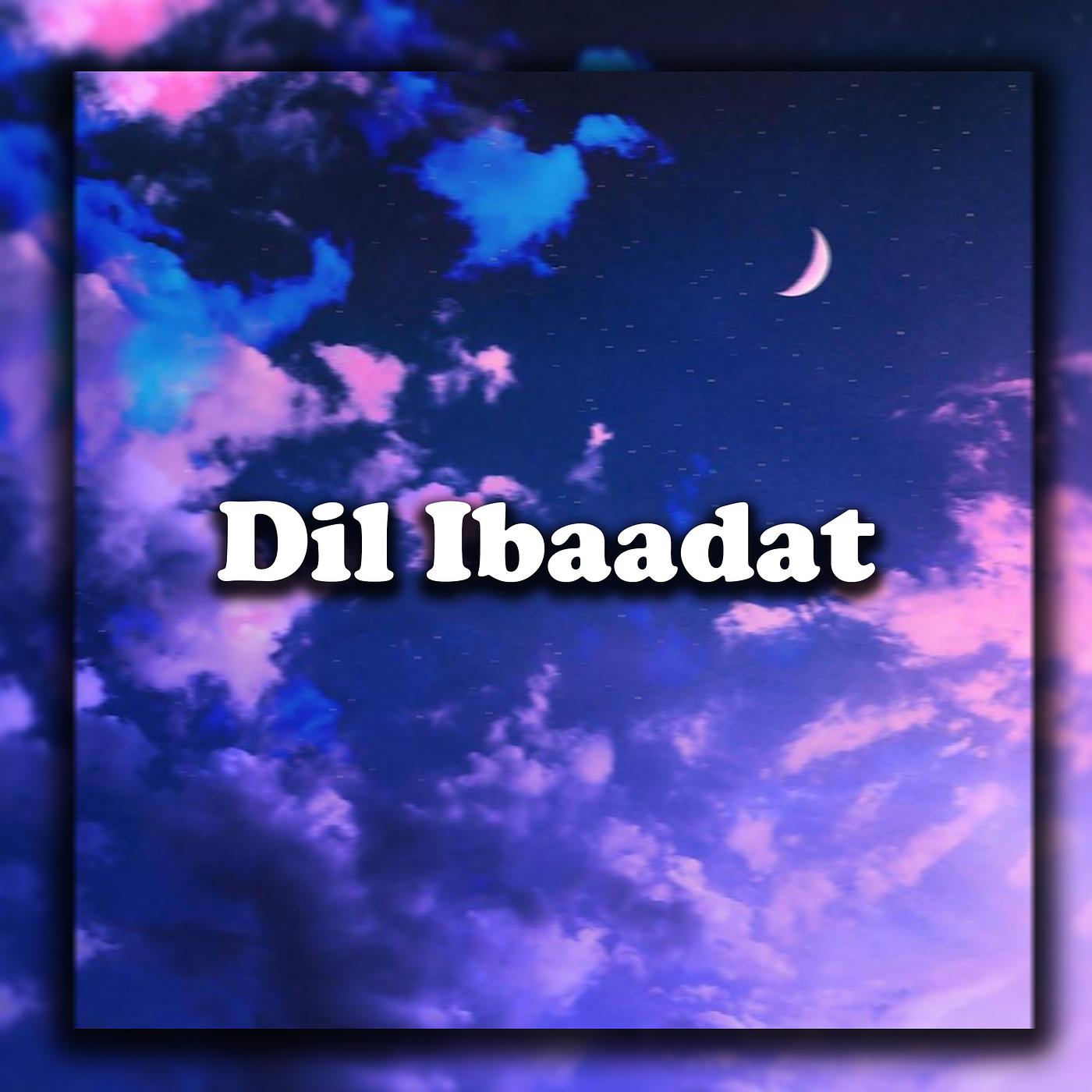 Постер альбома Dil Ibaadat