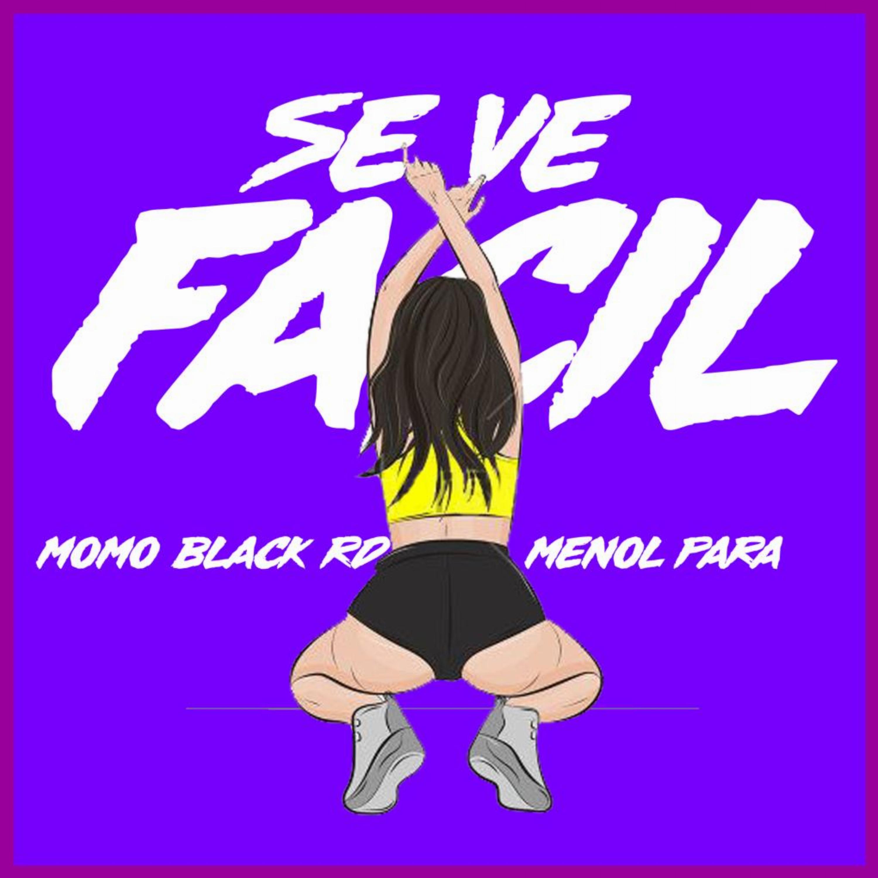 Постер альбома Se Ve Fácil