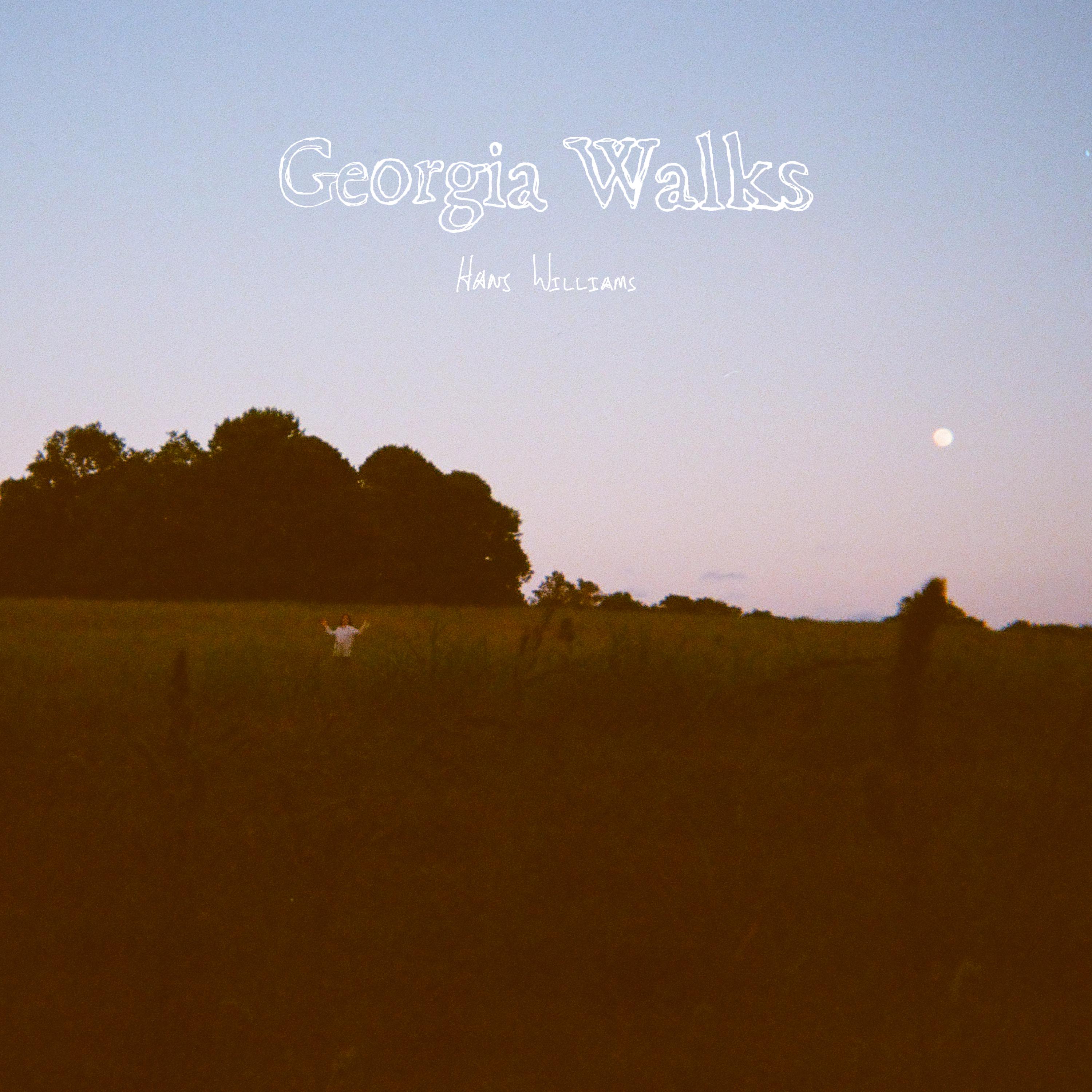 Постер альбома Georgia Walks
