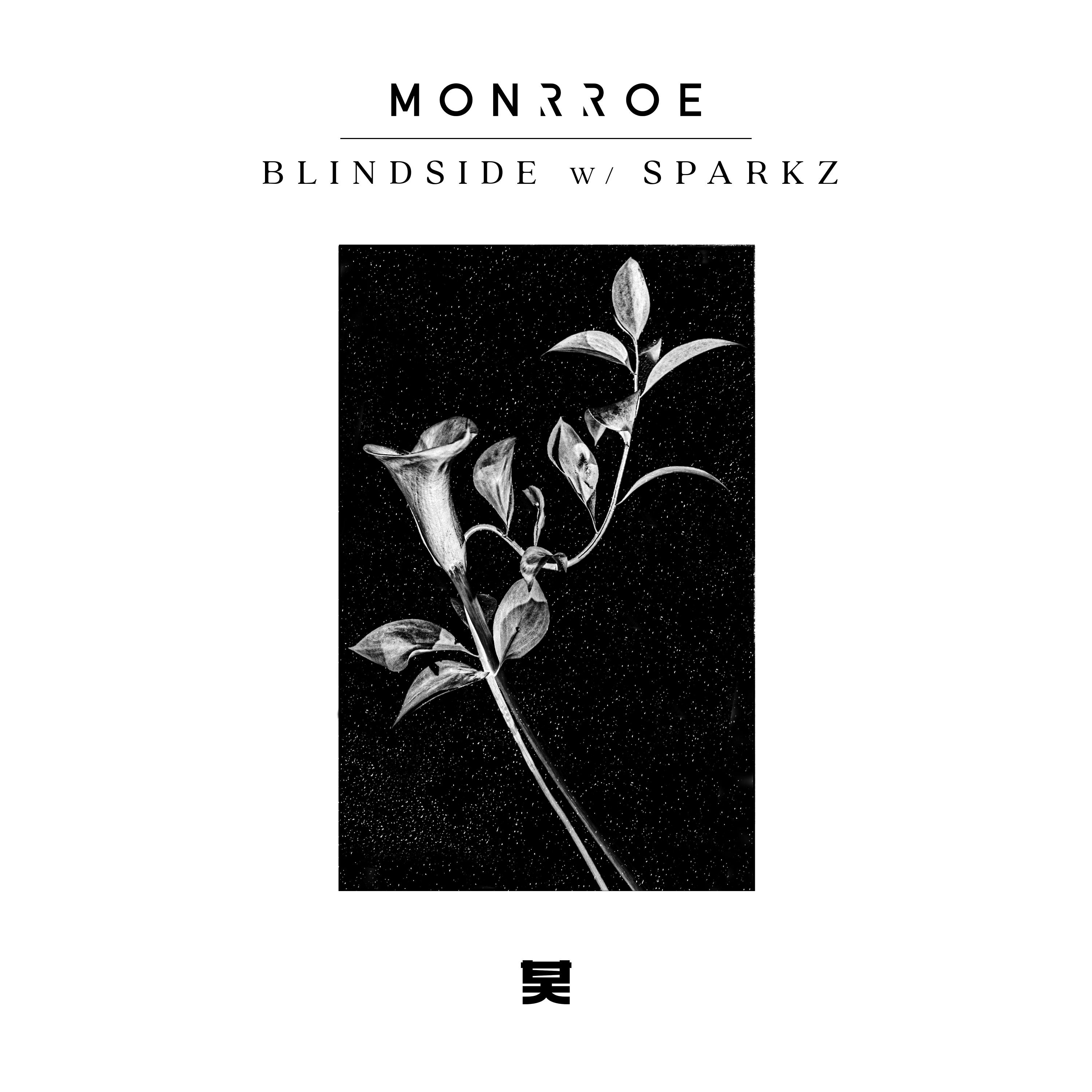 Постер альбома Blindside