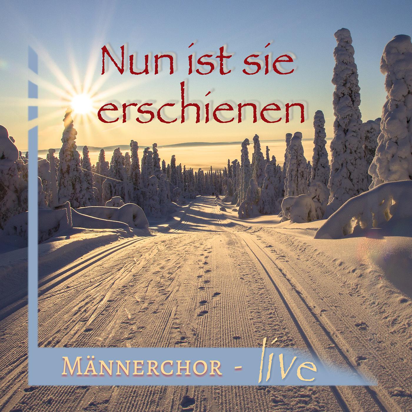 Постер альбома Nun Ist Sie Erschienen (Live)