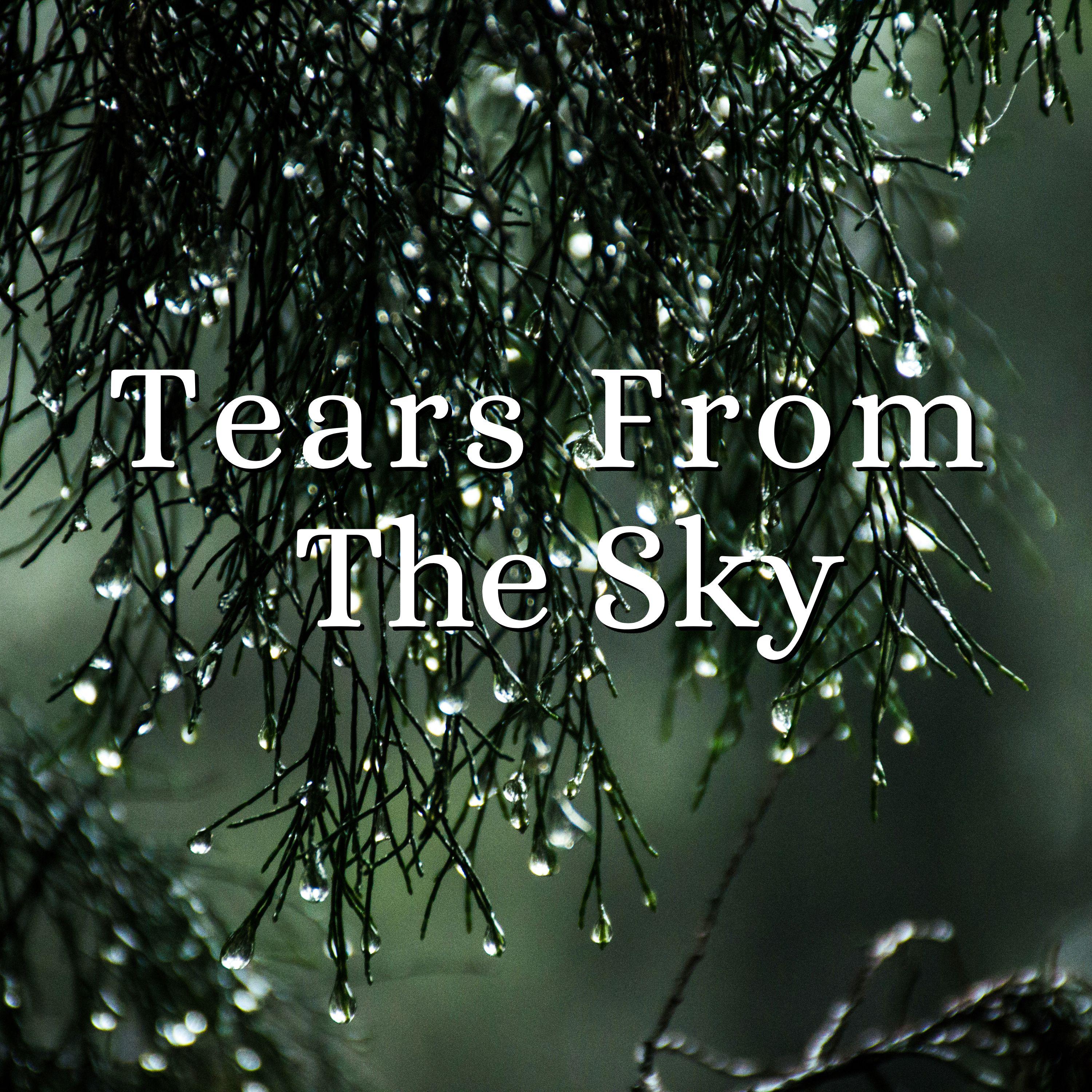 Постер альбома Tears From The Sky
