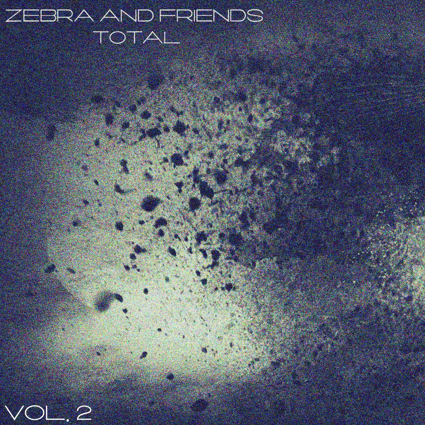 Постер альбома Zebra and Friends Total, Vol. 2