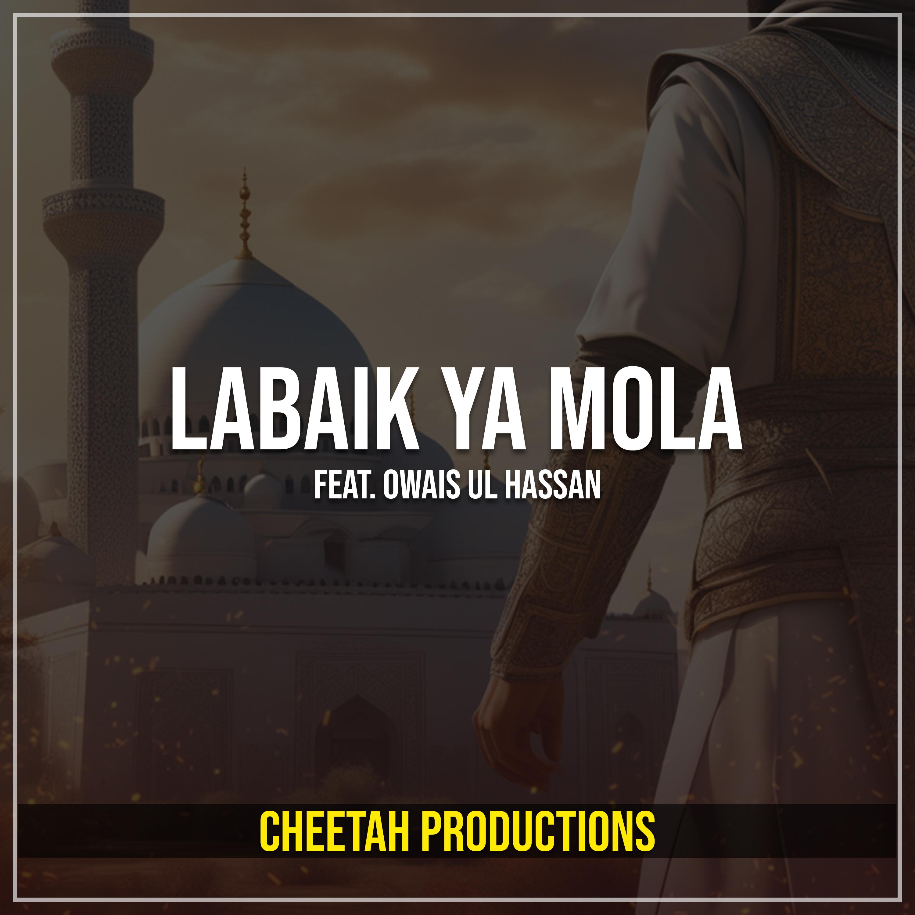 Постер альбома Labaik Ya Mola