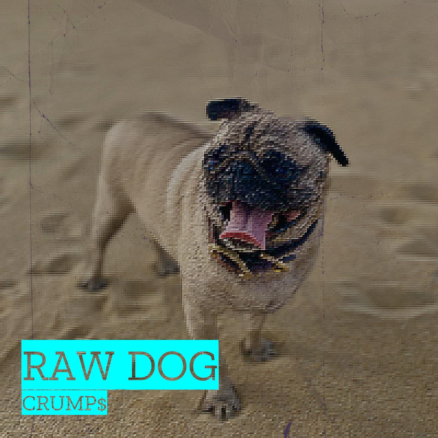 Постер альбома Raw Dog