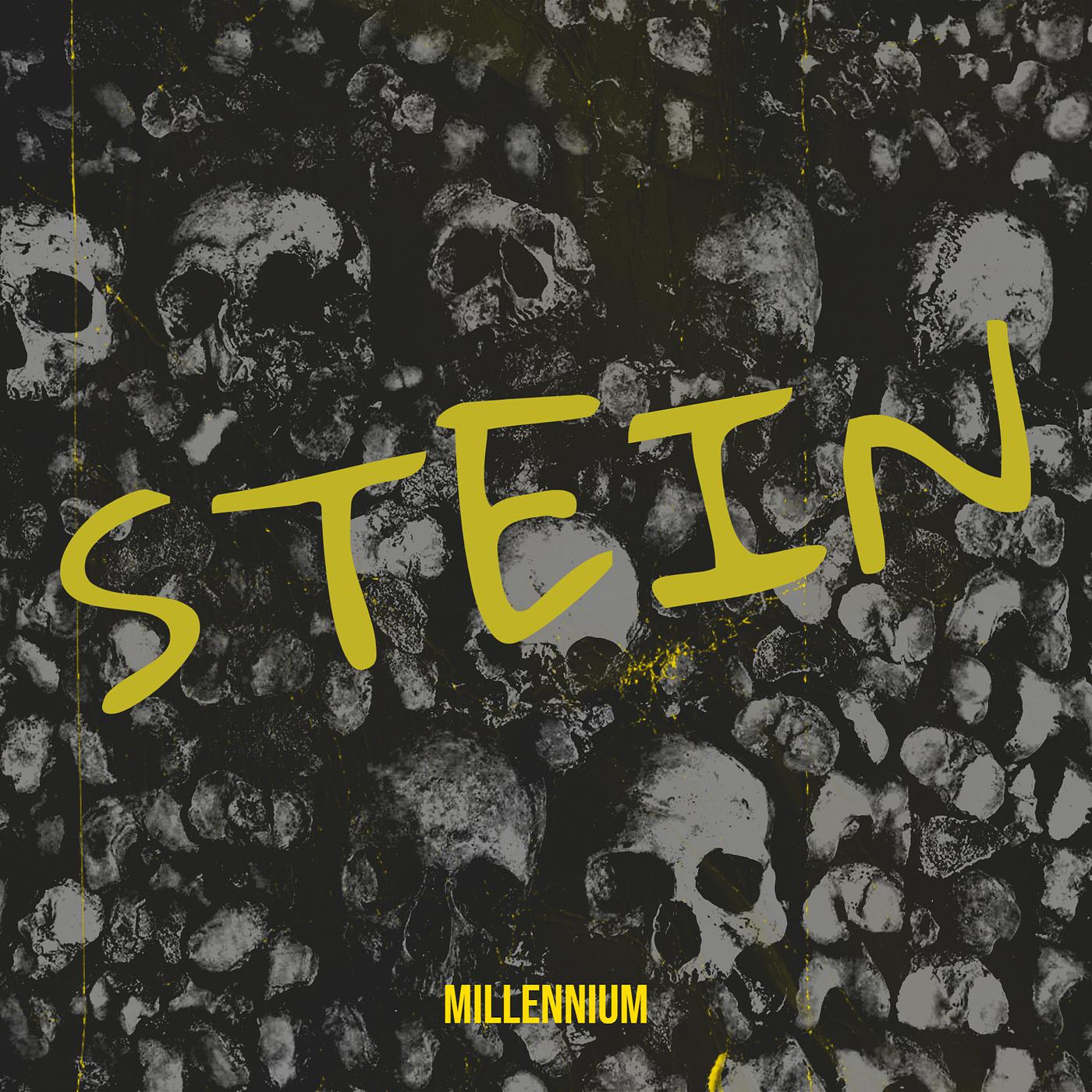 Постер альбома Stein