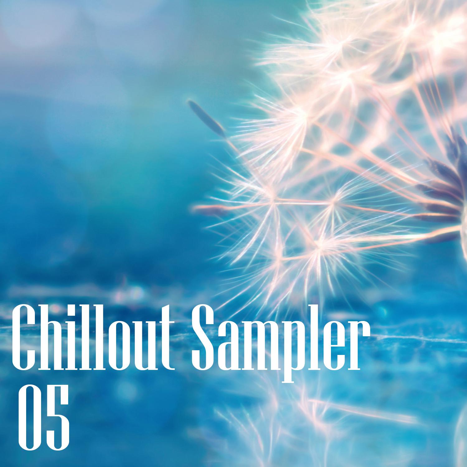 Постер альбома Chillout Sampler 05