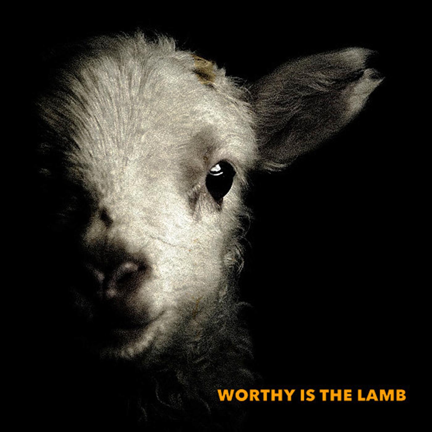 Постер альбома Worthy Is the Lamb (Live from Seattle)