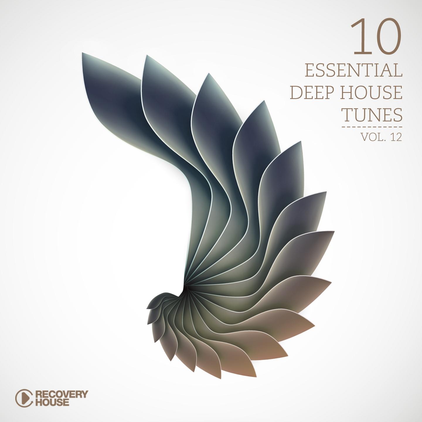 Постер альбома 10 Essential Deep House Tunes-, Vol. 12