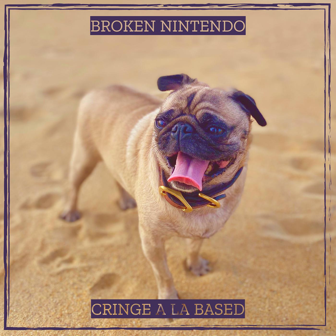 Постер альбома Broken Nintendo