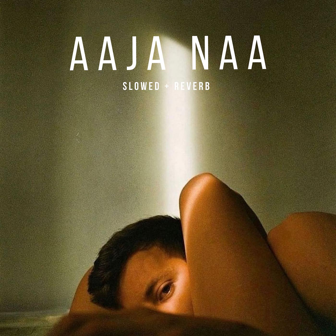 Постер альбома Aaja Naa ( Slowed + Reverb )