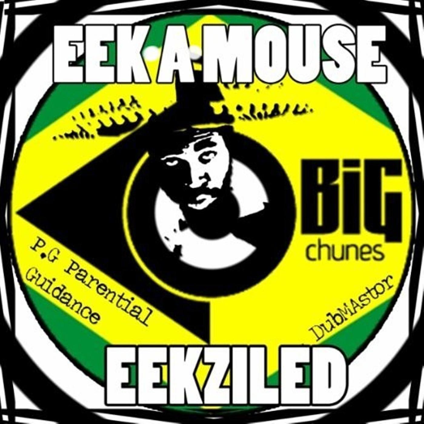 Постер альбома Eekziled