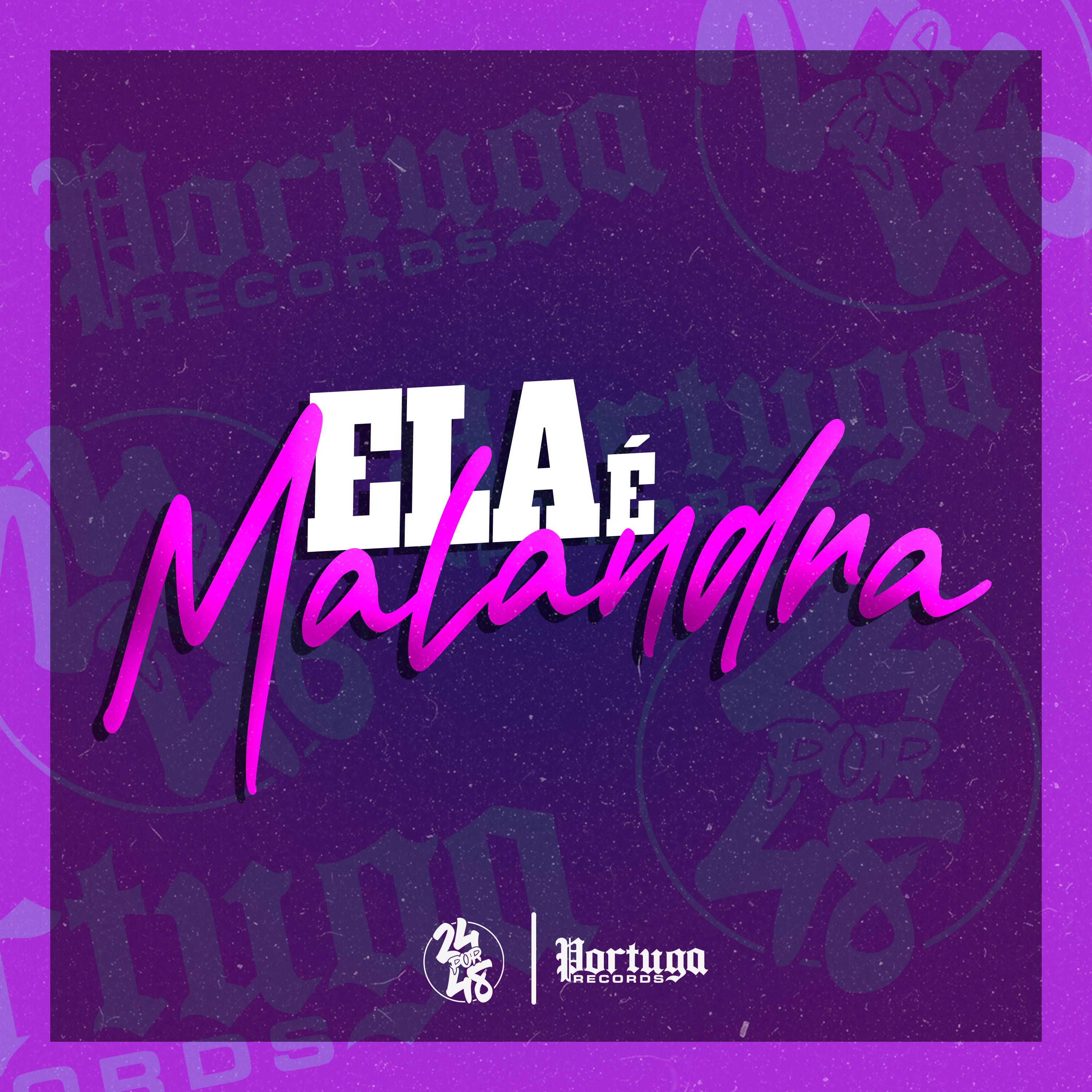 Постер альбома Ela É Malandra