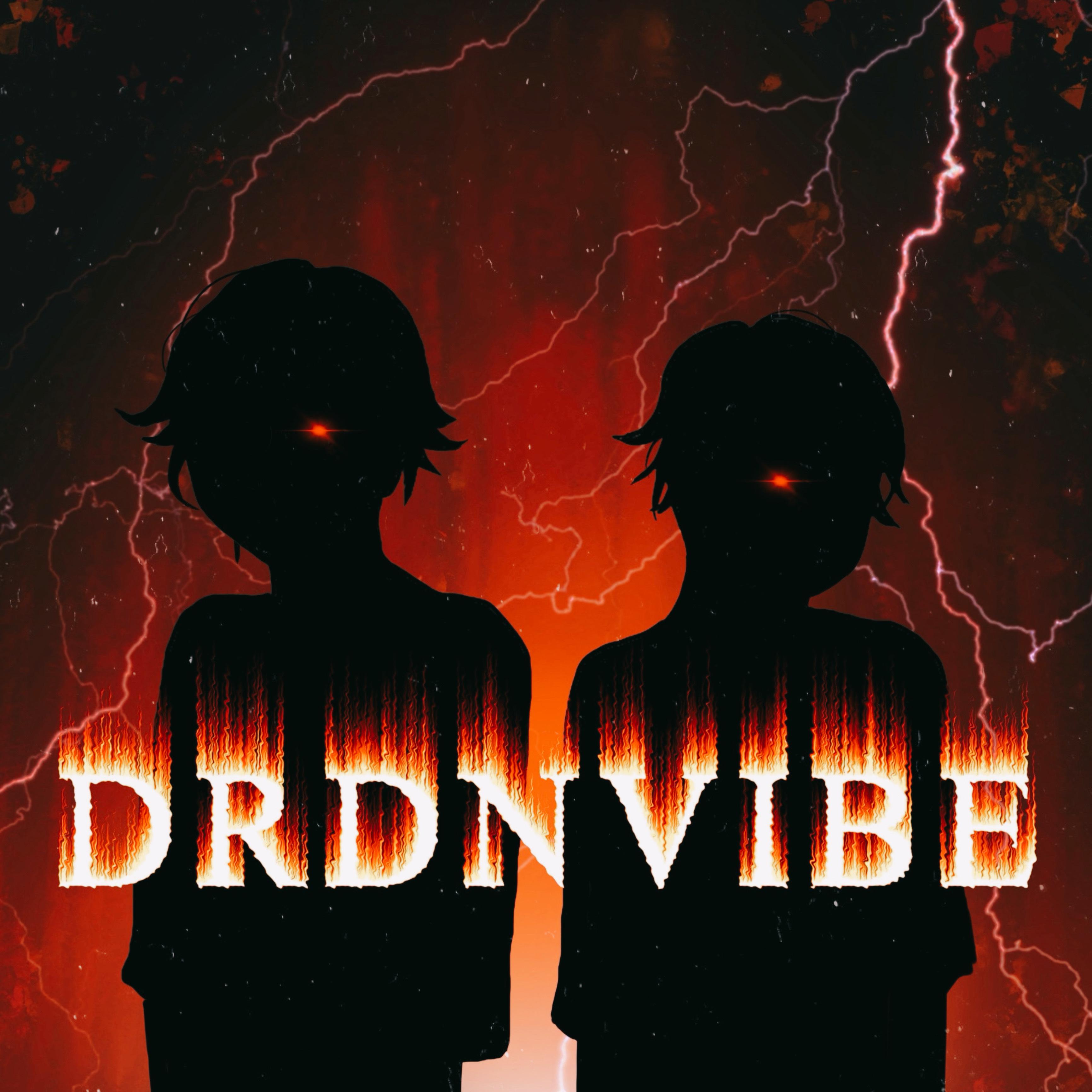 Постер альбома Drdnvibe