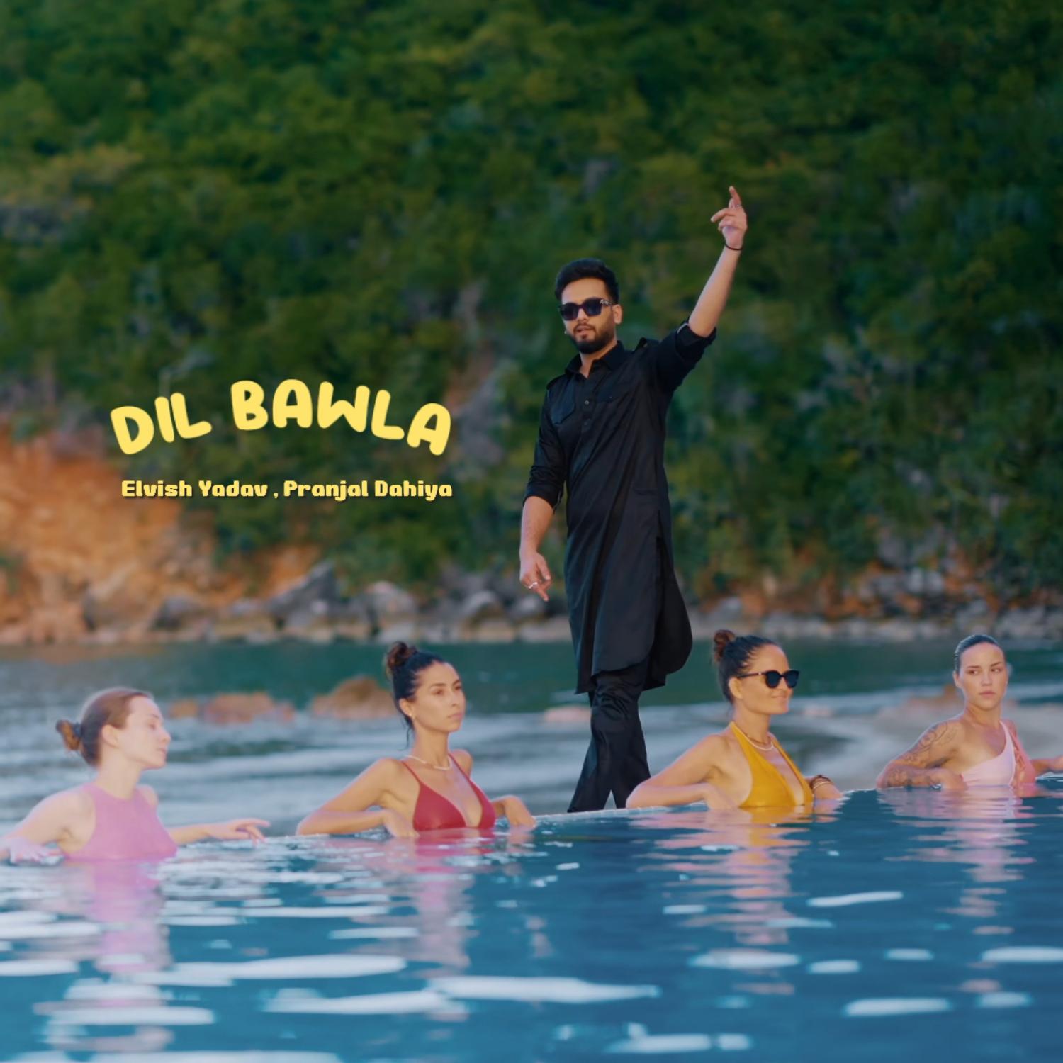 Постер альбома Dil Bawla