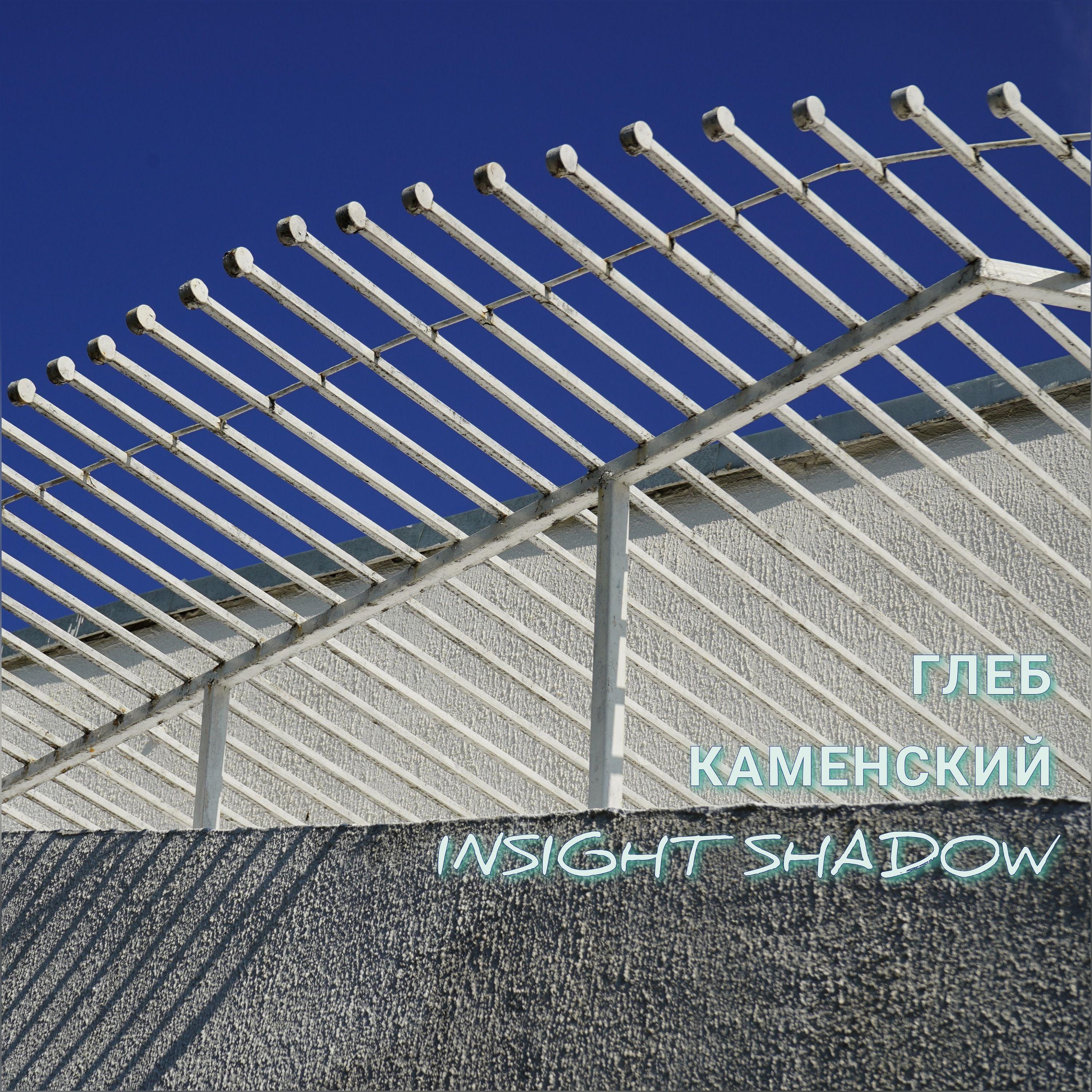 Постер альбома Insight Shadow