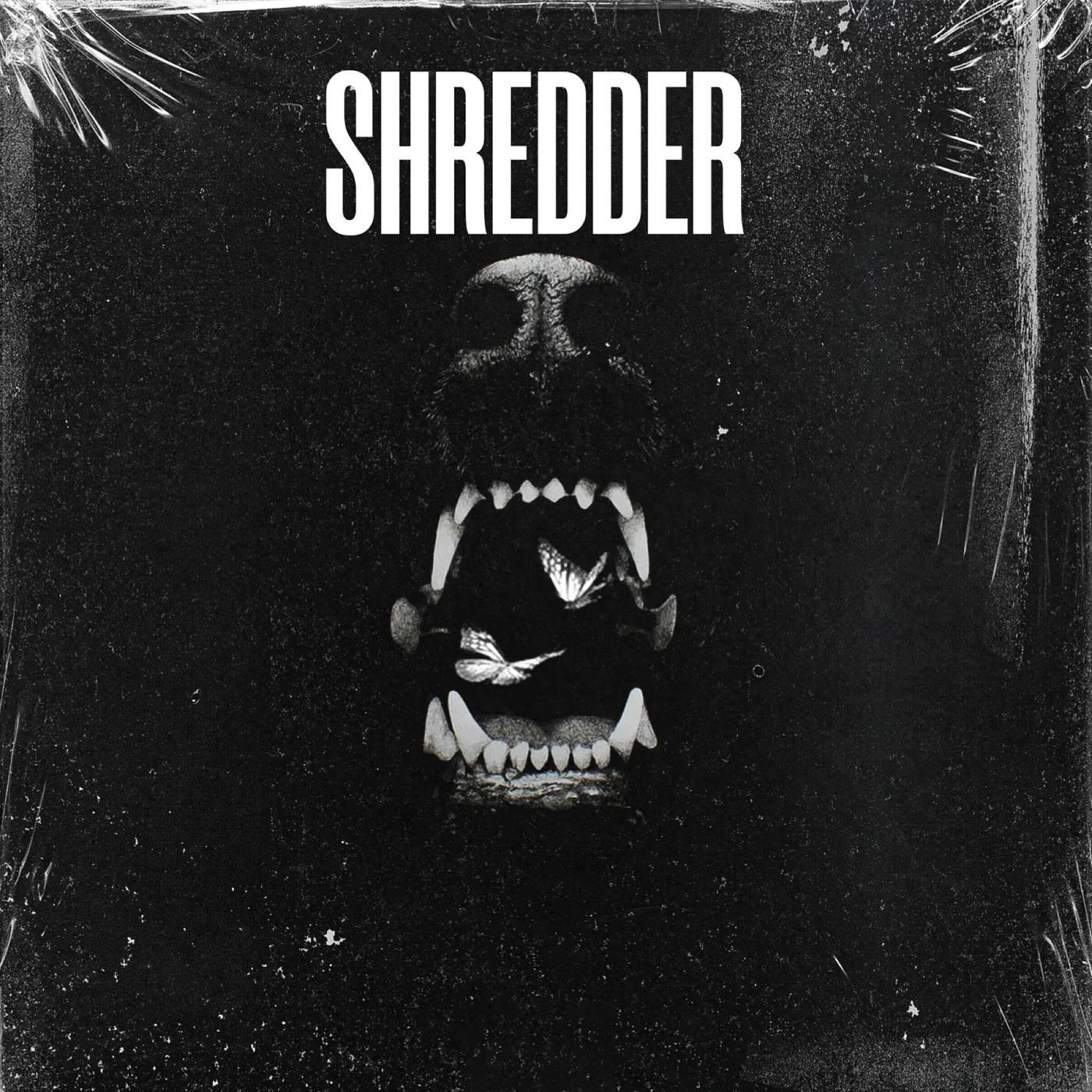 Постер альбома Shredder