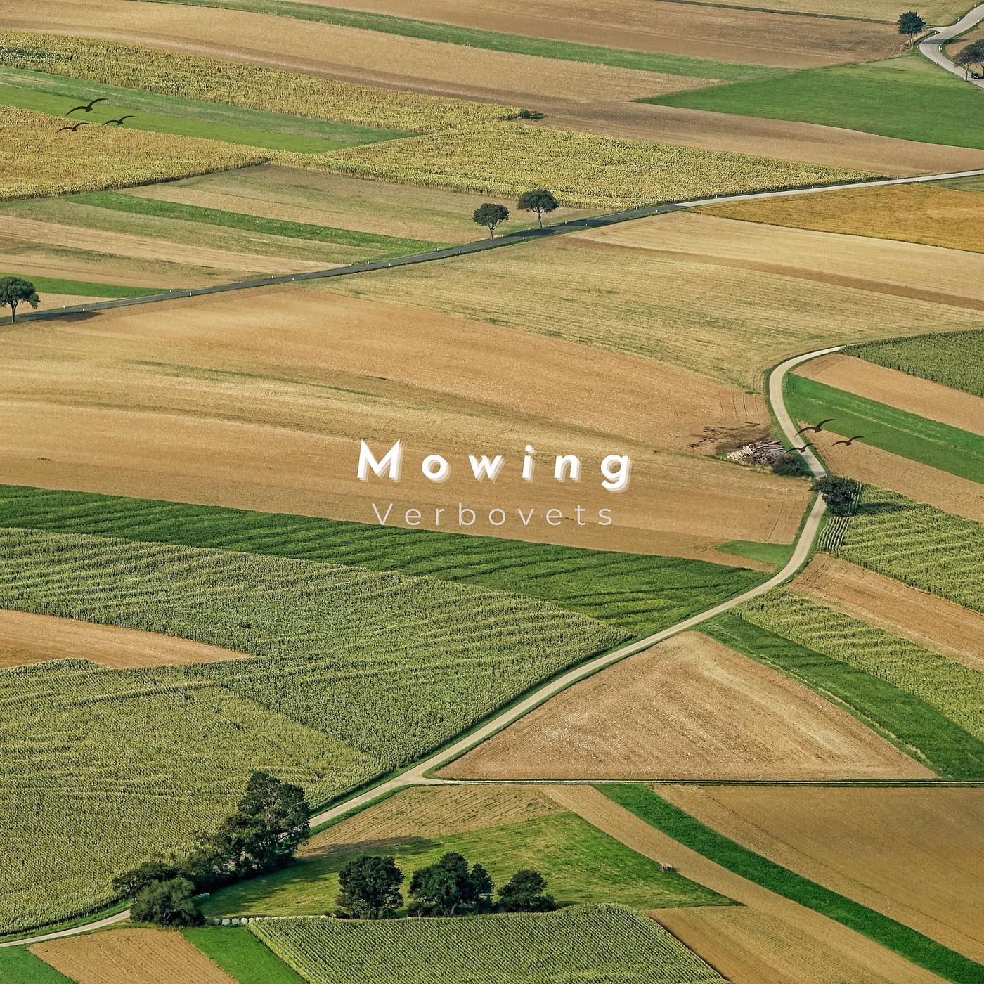 Постер альбома Mowing