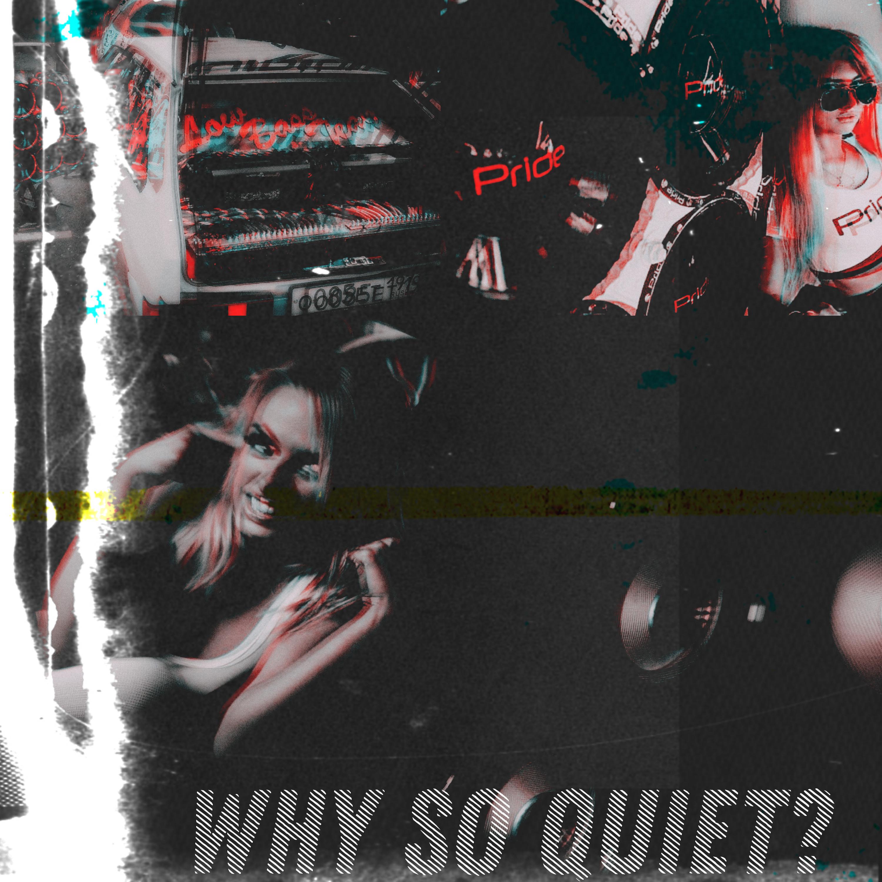 Постер альбома Why So Quiet?