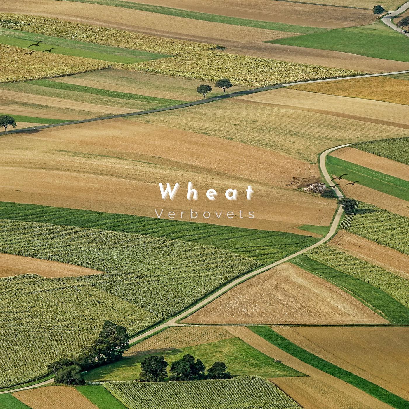 Постер альбома Wheat
