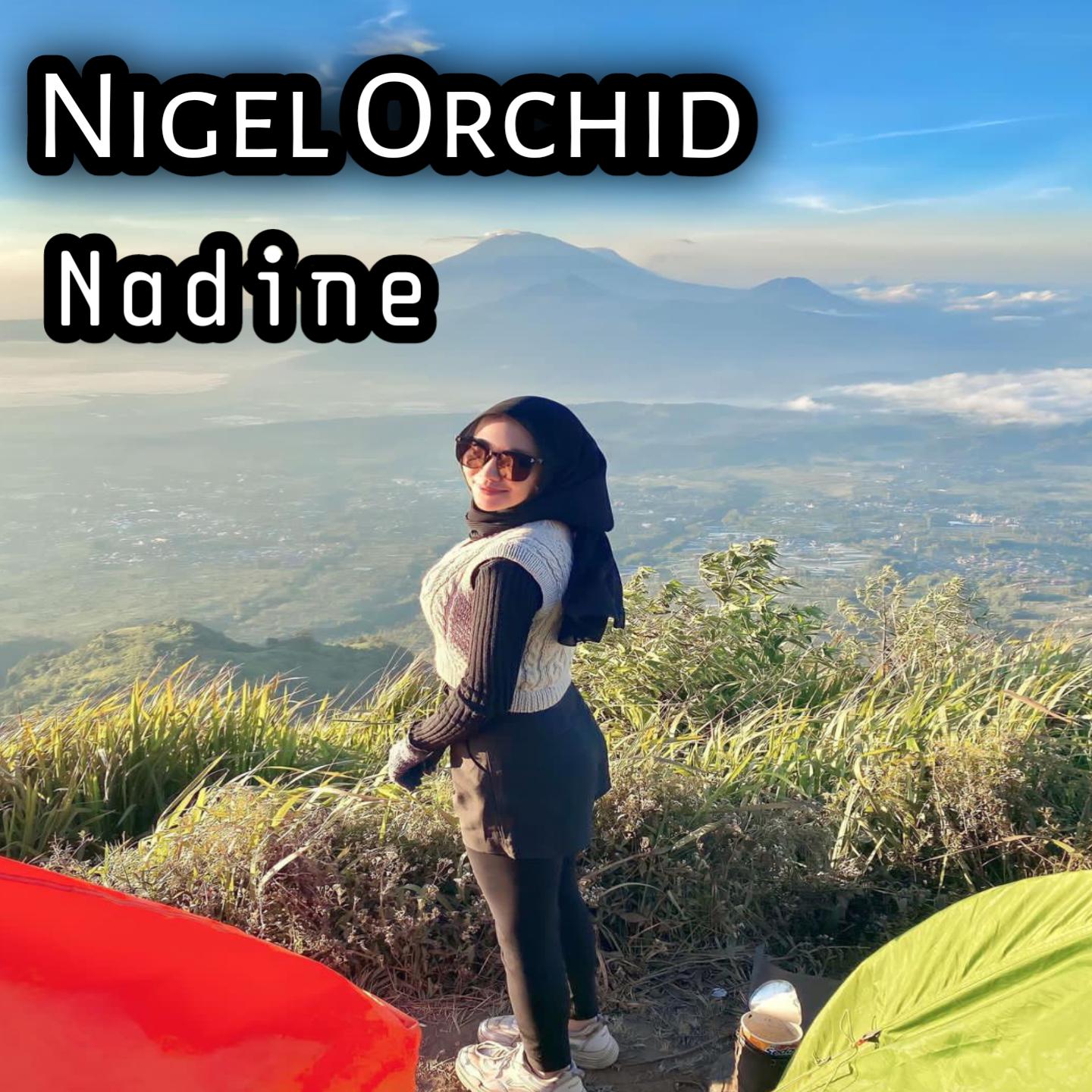 Постер альбома Nigel Orchid