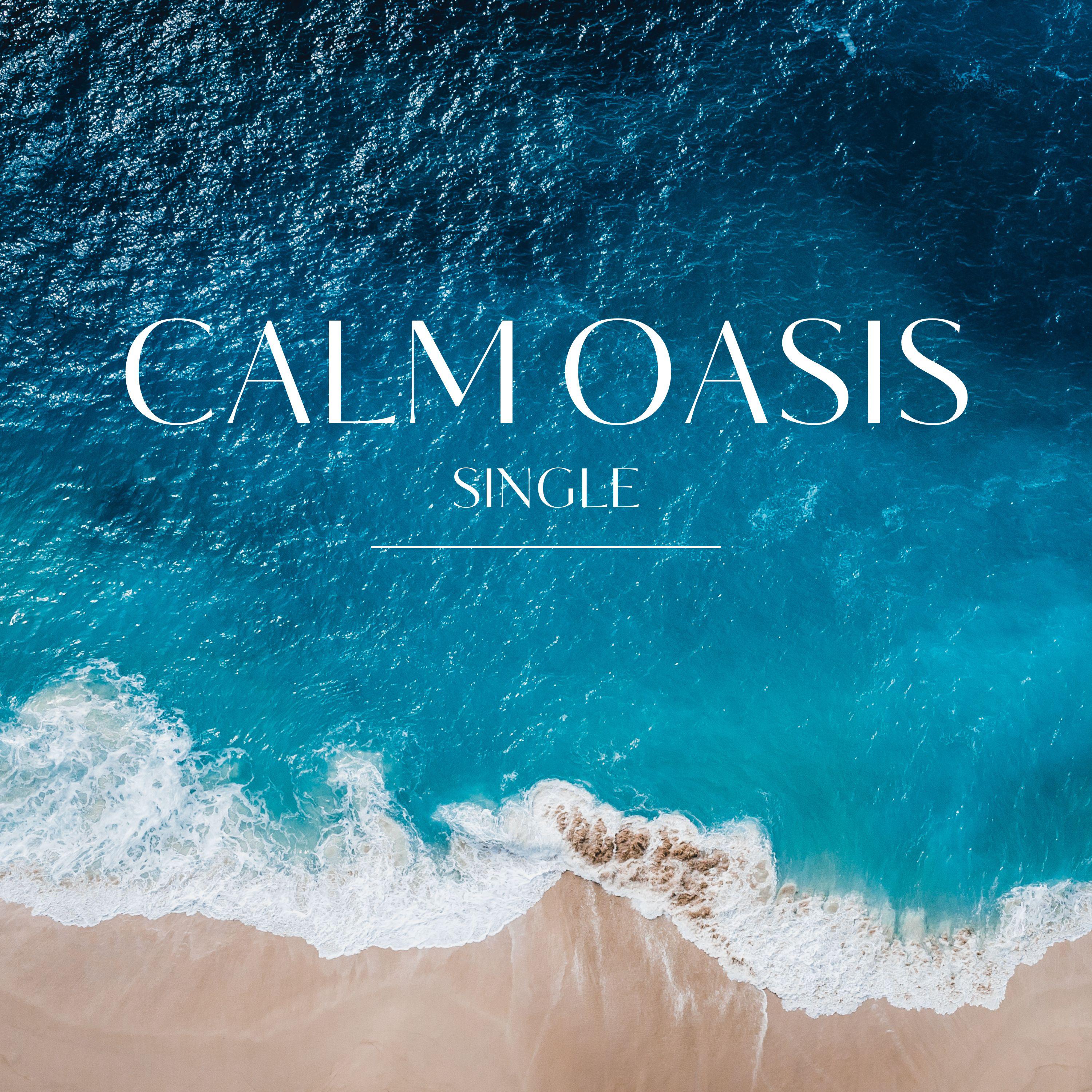 Постер альбома Calm Oasis