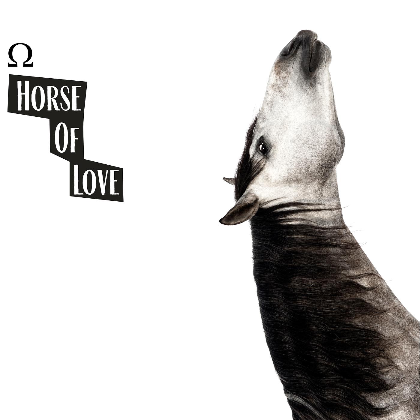 Постер альбома Horse of Love