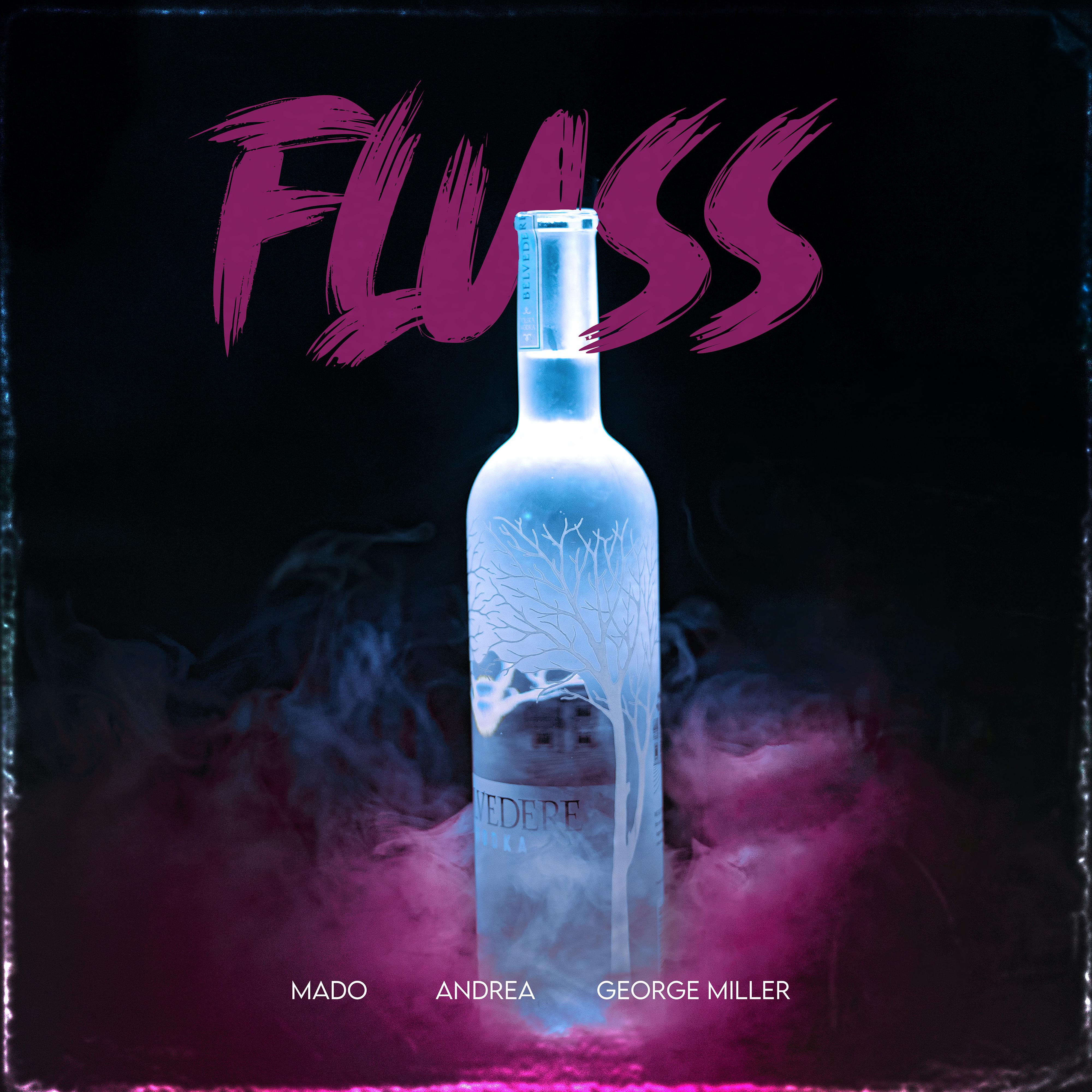 Постер альбома FLUSS