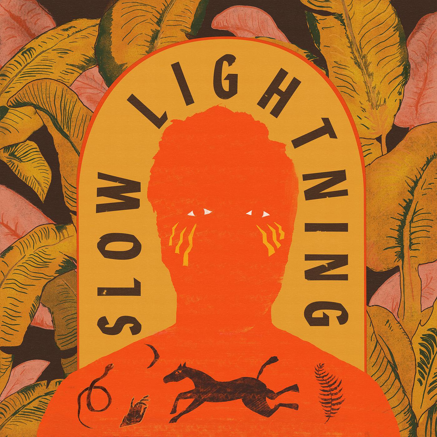 Постер альбома Slow Lightning