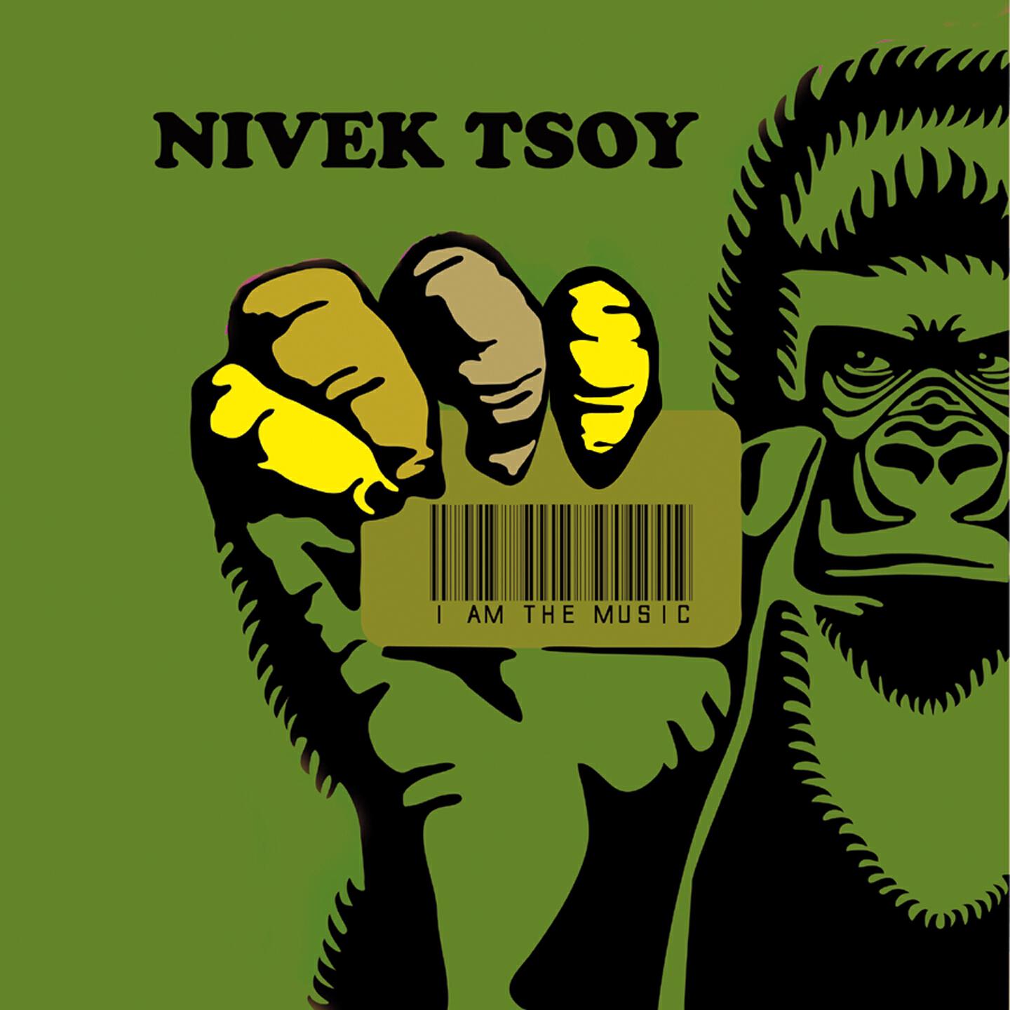 Nivek Tsoy - What Dym