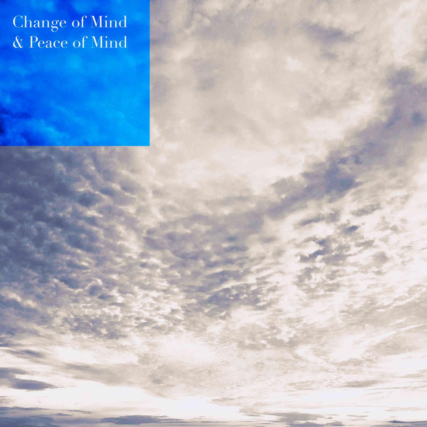 Постер альбома Change of Mind / Peace of Mind
