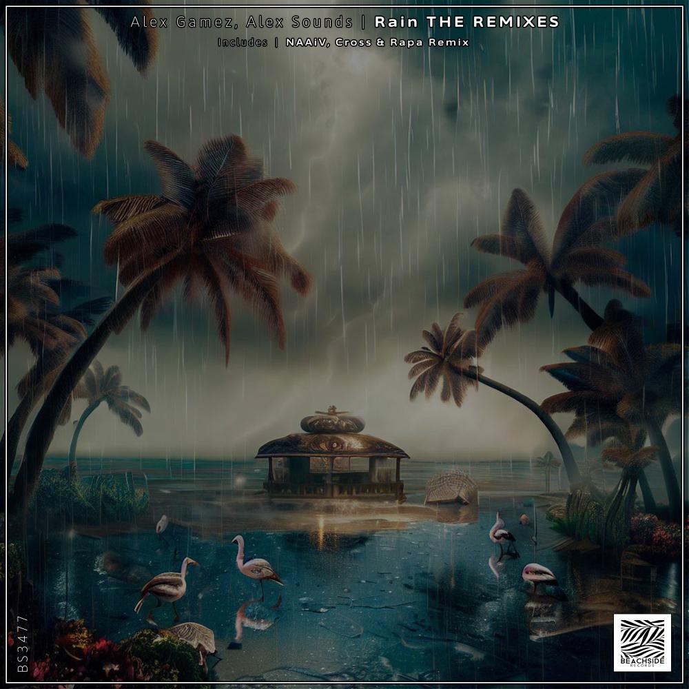 Постер альбома Rain THE REMIXES