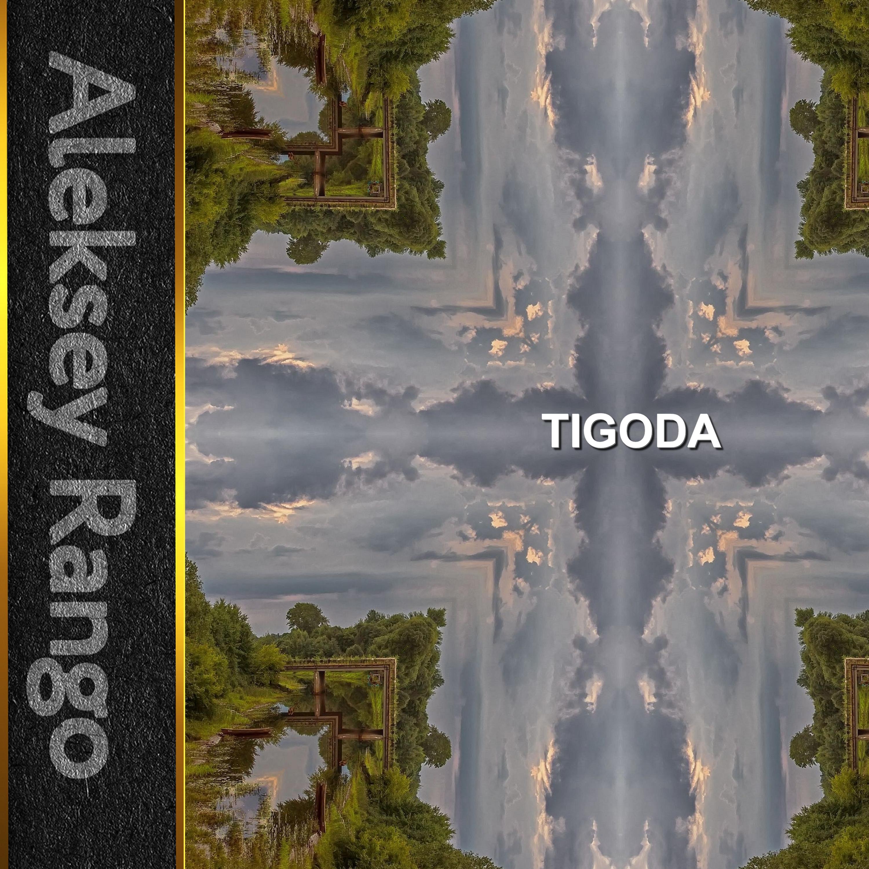 Постер альбома Tigoda
