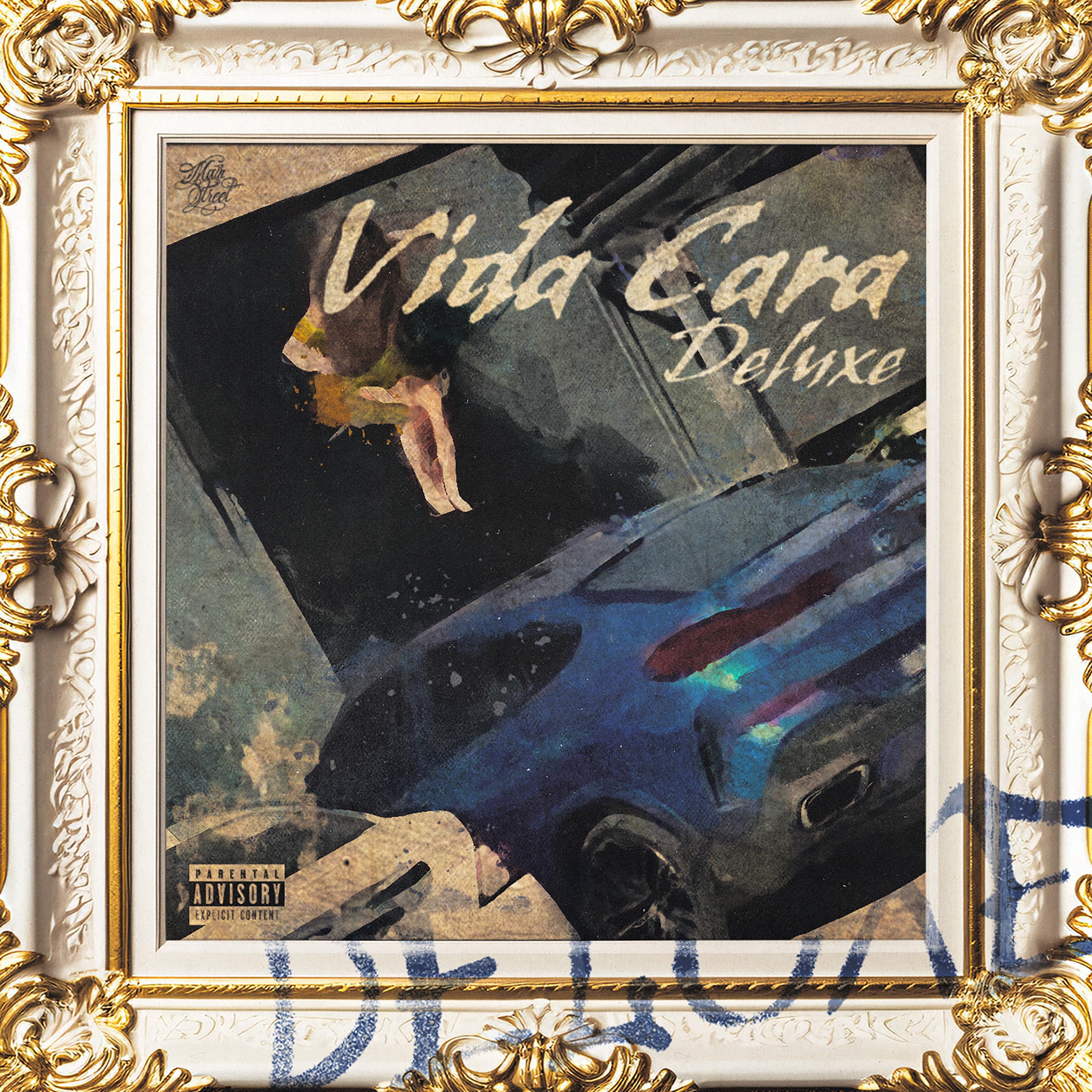 Постер альбома Vida Cara (Deluxe)
