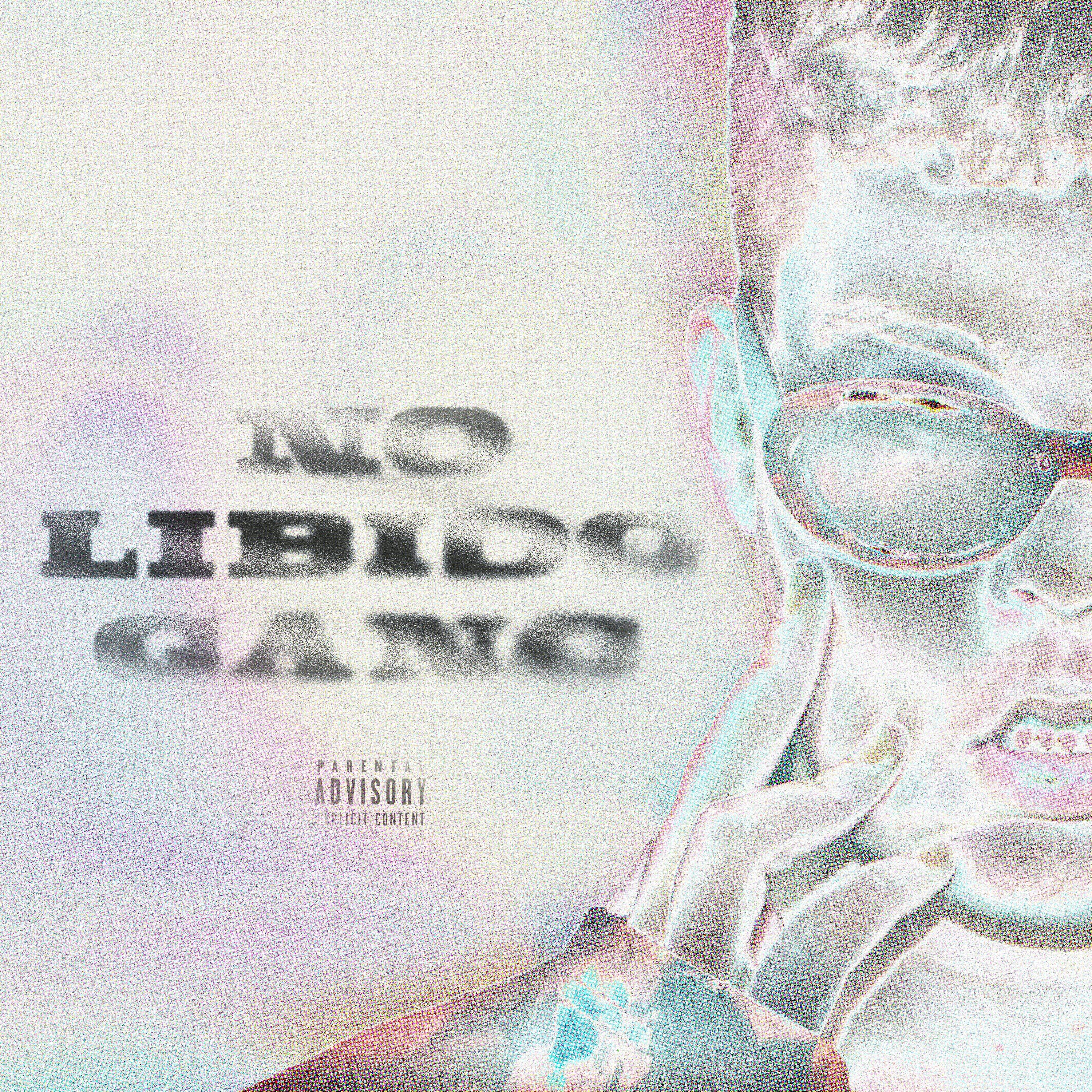 Постер альбома No Libido Gang