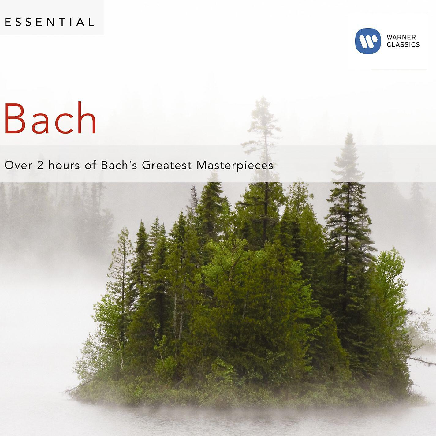 Michel Debost/Lionel Rogg - Flute Sonata in E-Flat Major, BWV 1031: II. Siciliano