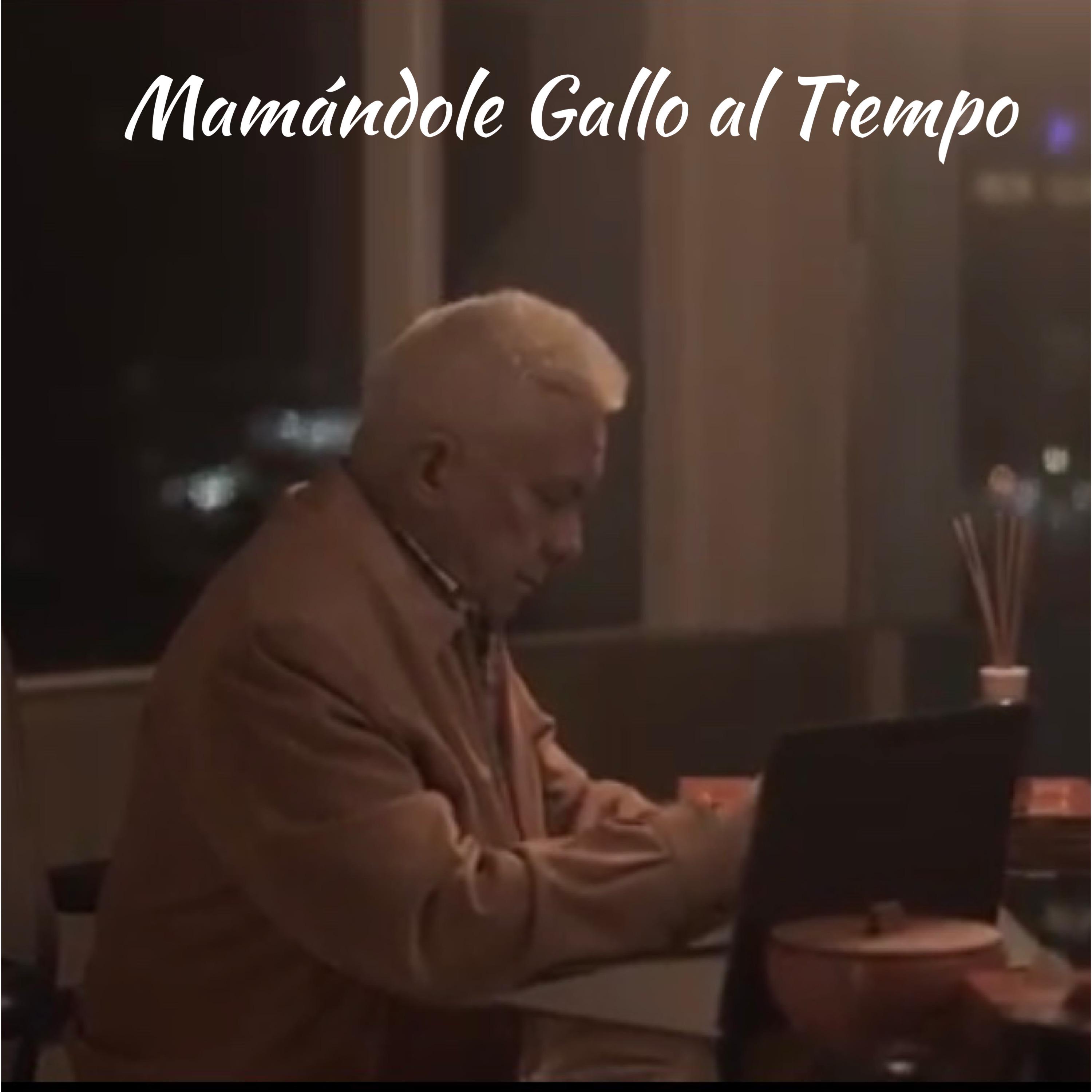 Постер альбома Mamándole Gallo al Tiempo