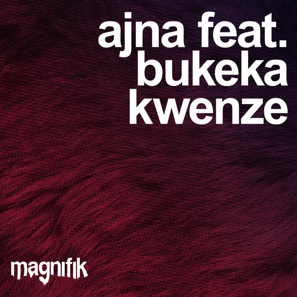 Постер альбома Kwenze