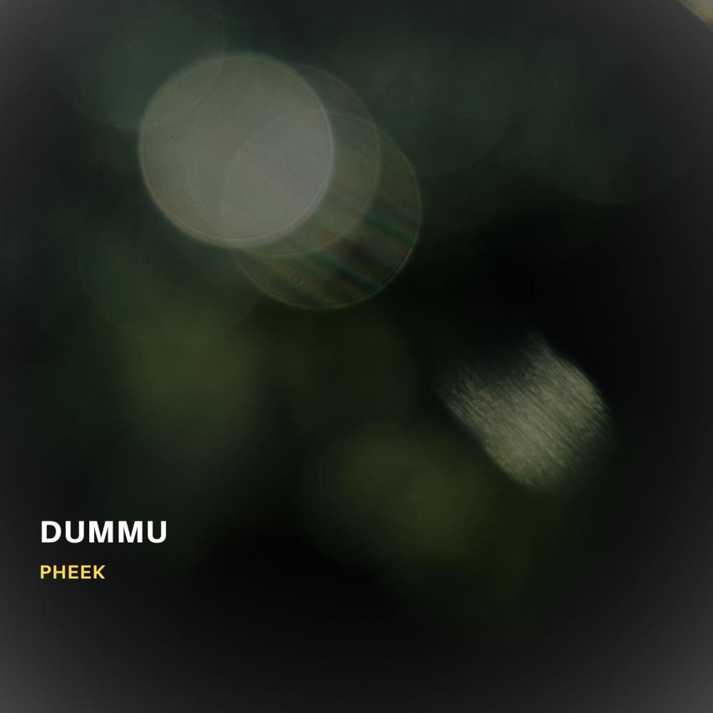 Постер альбома Dummu