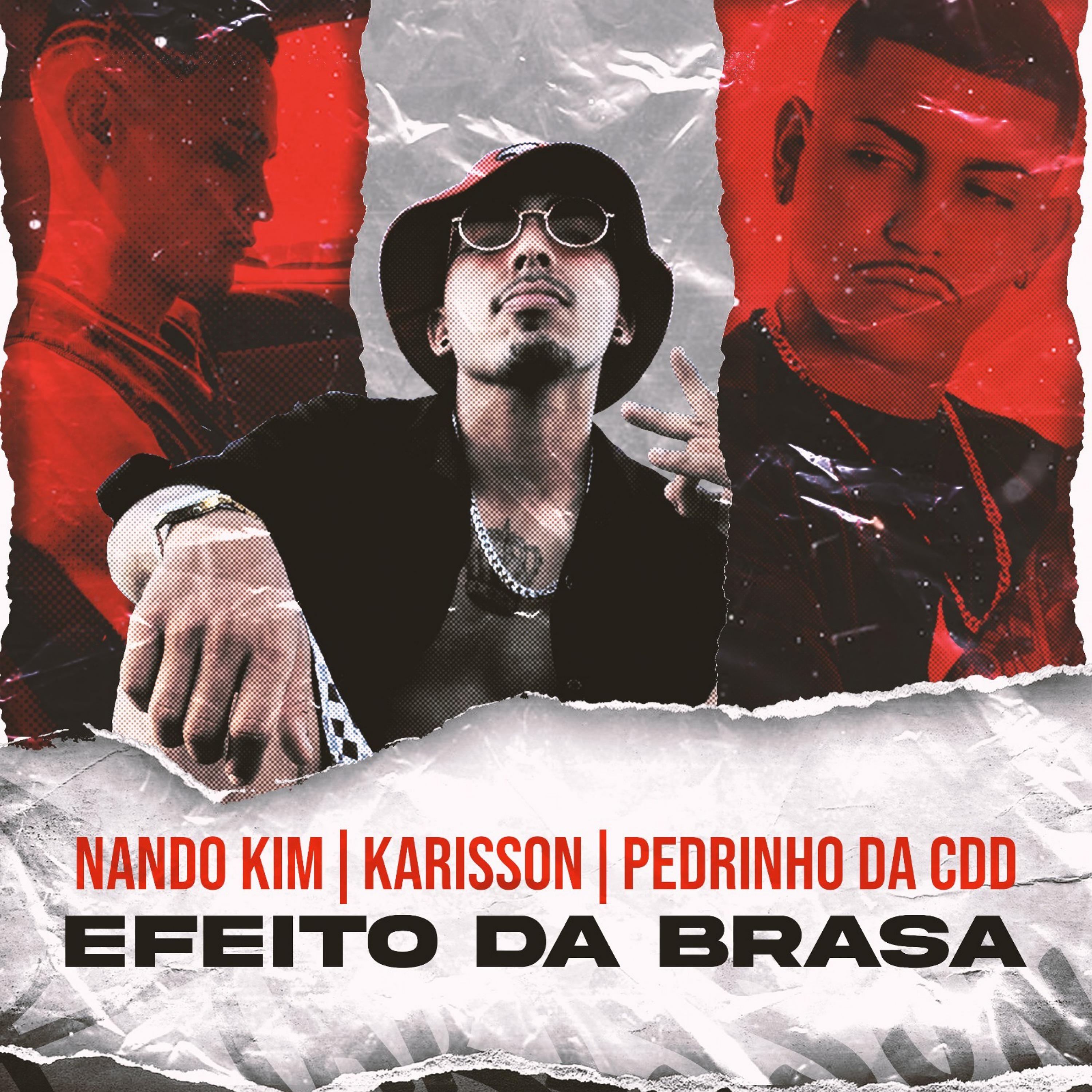 Постер альбома Efeito da Brasa